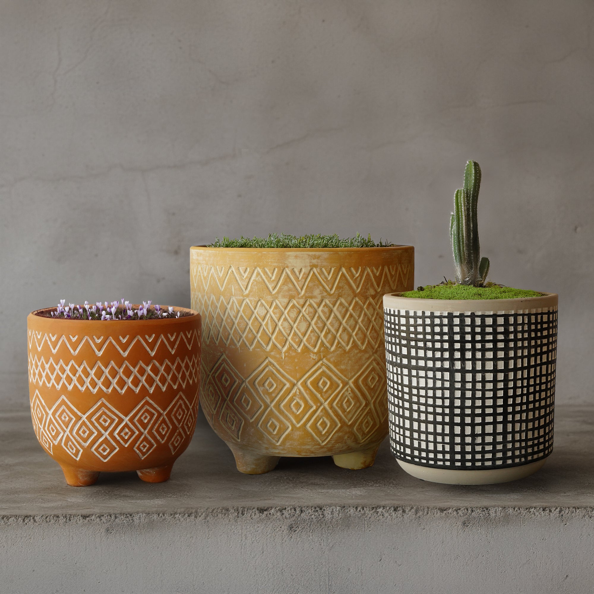 Floral Treasure Outdoor/Indoor Planter Box CML 8072C-189 - Planter Boxes - ebarza Furniture UAE | Shop Modern Furniture in Abu Dhabi & Dubai - مفروشات ايبازرا في الامارات | تسوق اثاث عصري وديكورات مميزة في دبي وابوظبي