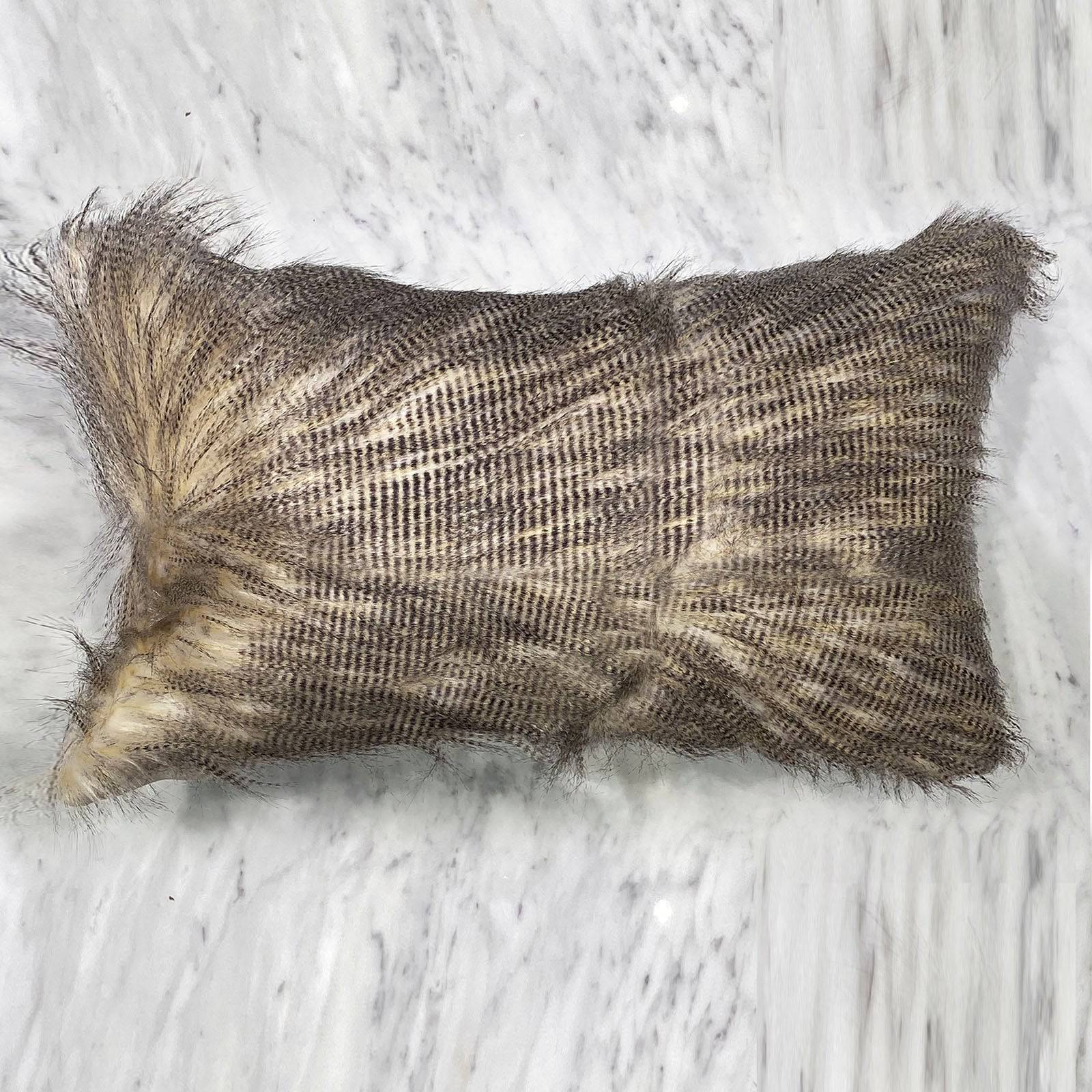 30X60 Cm Cushion Cover 2151-004 -  Cushions - ebarza Furniture UAE | Shop Modern Furniture in Abu Dhabi & Dubai - مفروشات ايبازرا في الامارات | تسوق اثاث عصري وديكورات مميزة في دبي وابوظبي