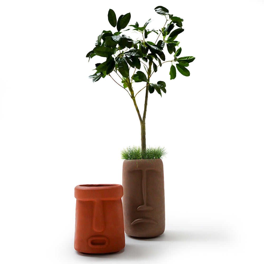 Indoor/Outdoor color Planter Box XK-6048A-Coffee Brown -  Planter Boxes | صندوق زرع ملون من الطين للاستخدام الداخلي/الخارجي - ebarza Furniture UAE | Shop Modern Furniture in Abu Dhabi & Dubai - مفروشات ايبازرا في الامارات | تسوق اثاث عصري وديكورات مميزة في دبي وابوظبي