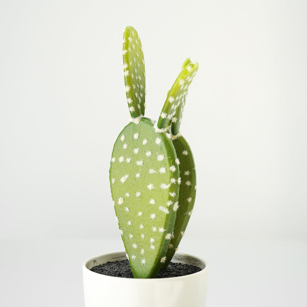 Handmade Decorative Artificial Potted Cactus N38120-PZ003 -  Plants | نبات صناعي مزخرف يدويًا + وعاء زراعه - ebarza Furniture UAE | Shop Modern Furniture in Abu Dhabi & Dubai - مفروشات ايبازرا في الامارات | تسوق اثاث عصري وديكورات مميزة في دبي وابوظبي