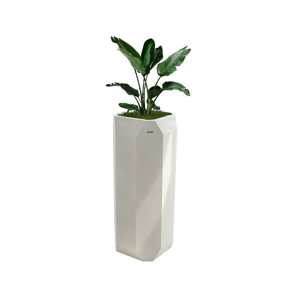 Beige Planter Box XK-4084A -  Planter Boxes | صندوق زراعة باللون البيج - ebarza Furniture UAE | Shop Modern Furniture in Abu Dhabi & Dubai - مفروشات ايبازرا في الامارات | تسوق اثاث عصري وديكورات مميزة في دبي وابوظبي