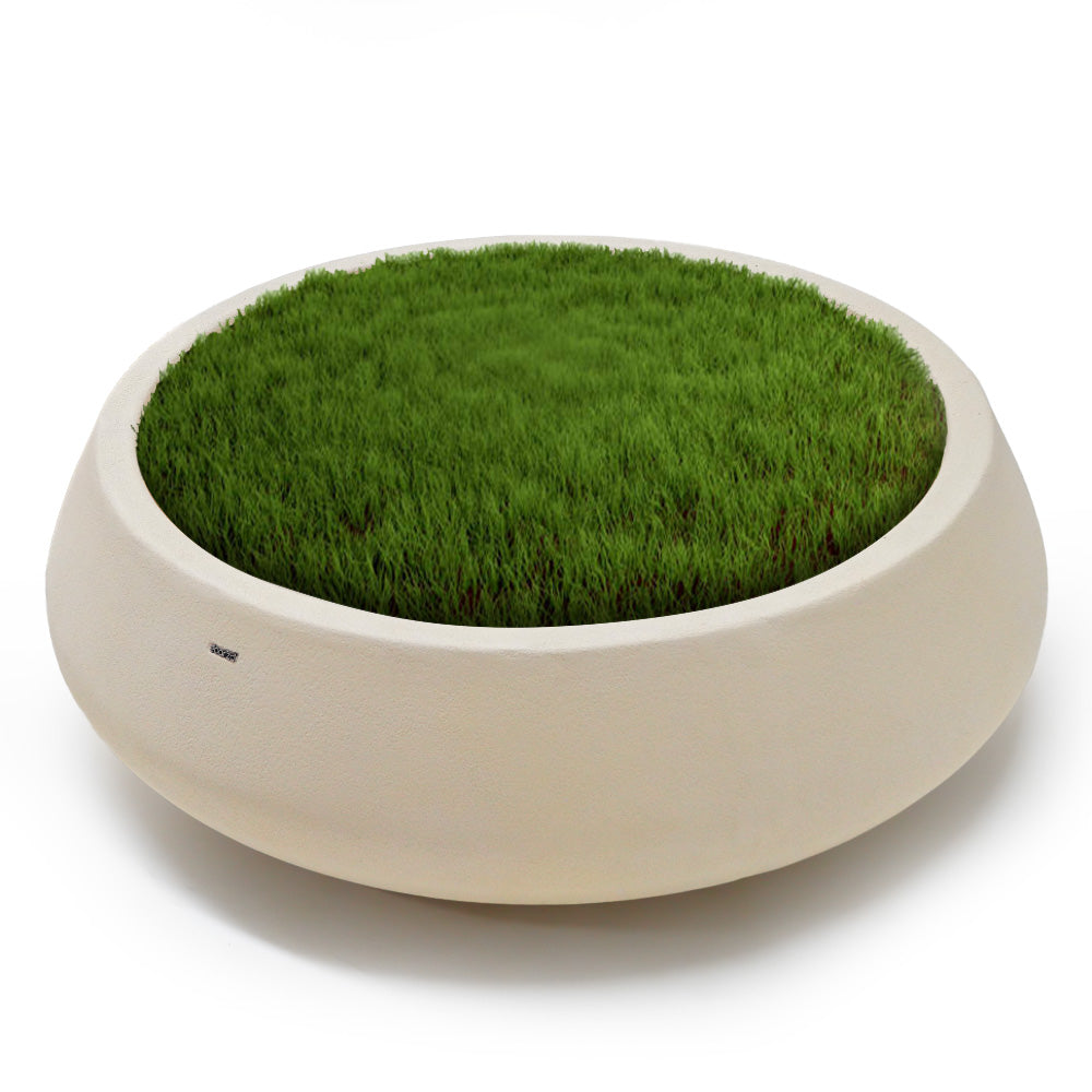 Indoor/Outdoor Beige Plant Pot XK-0001 -  Planter Boxes | وعاء نباتات باللون البيج للأماكن الداخلية/الخارجية - ebarza Furniture UAE | Shop Modern Furniture in Abu Dhabi & Dubai - مفروشات ايبازرا في الامارات | تسوق اثاث عصري وديكورات مميزة في دبي وابوظبي