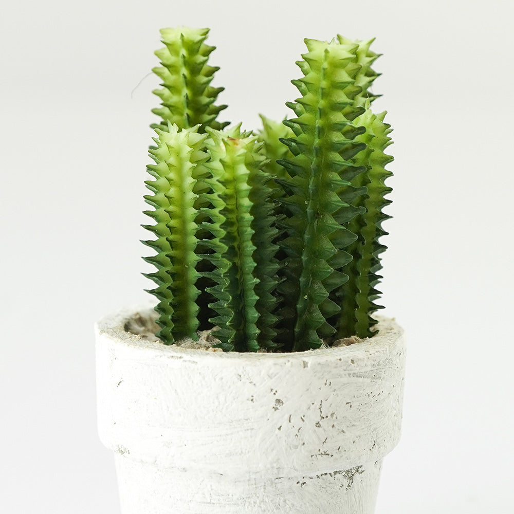 Handmade Decorative Artificial Potted Cactus N35020-SM157 -  Plants | نبات صناعي مزخرف يدويًا + وعاء زراعه - ebarza Furniture UAE | Shop Modern Furniture in Abu Dhabi & Dubai - مفروشات ايبازرا في الامارات | تسوق اثاث عصري وديكورات مميزة في دبي وابوظبي