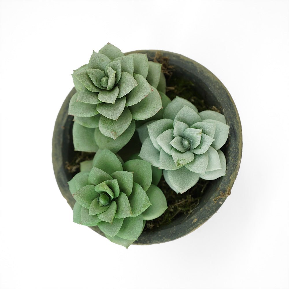 Handmade Decorative Artificial Plant N36520-PZ033-GR -  Plants | نبات صناعي مزخرف يدويًا + وعاء زراعه - ebarza Furniture UAE | Shop Modern Furniture in Abu Dhabi & Dubai - مفروشات ايبازرا في الامارات | تسوق اثاث عصري وديكورات مميزة في دبي وابوظبي