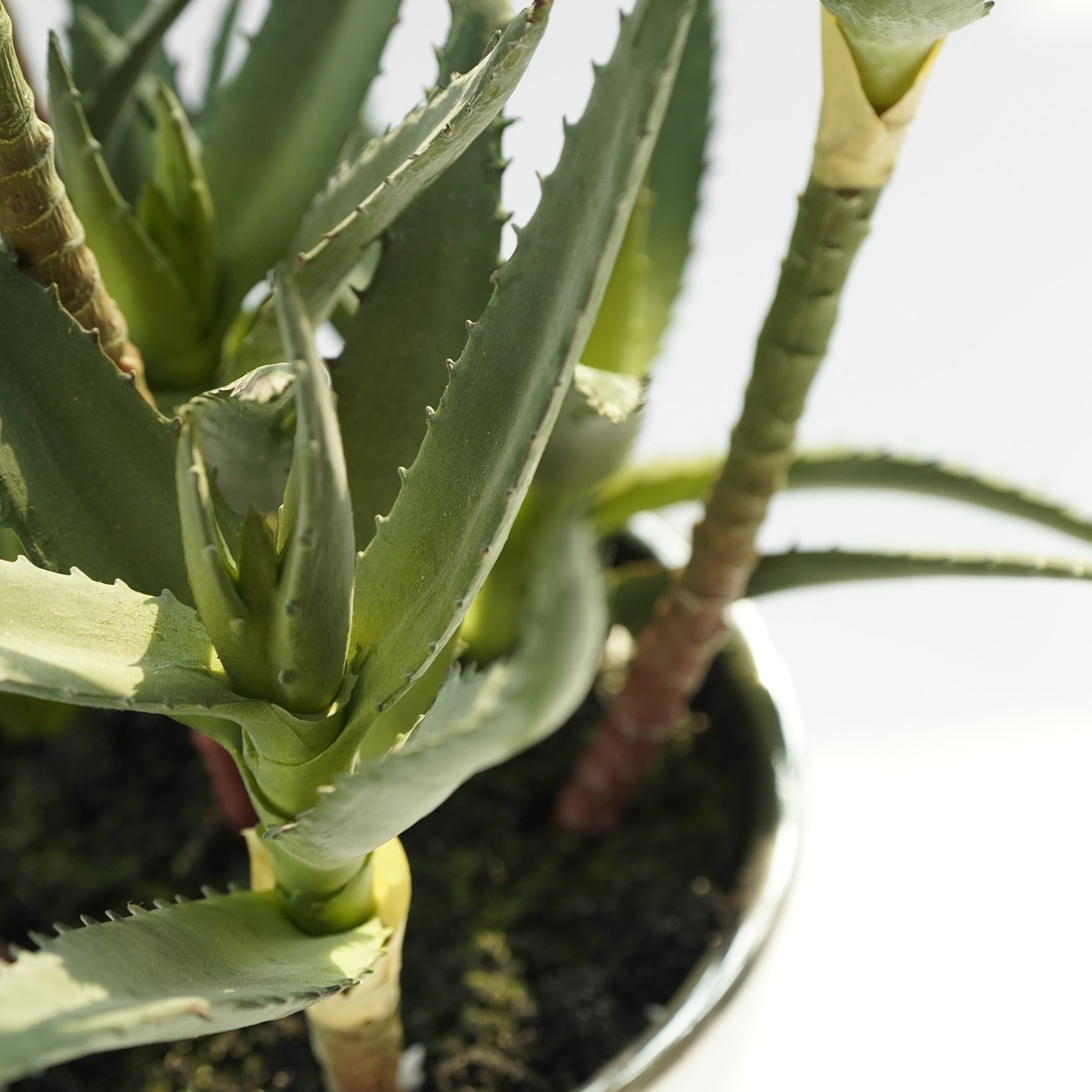 Handmade Decorative Artificial Potted Aloe N35020-PZ171 -  Plants | نبات صناعي مزخرف يدويًا + وعاء زراعه - ebarza Furniture UAE | Shop Modern Furniture in Abu Dhabi & Dubai - مفروشات ايبازرا في الامارات | تسوق اثاث عصري وديكورات مميزة في دبي وابوظبي