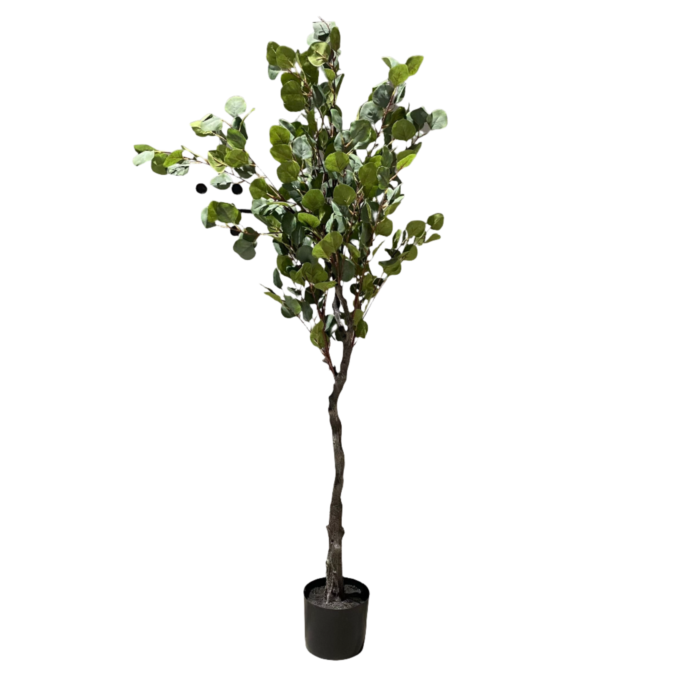 Handmade Decorative Artificial Eucalyptus With Plastic Pot N37422-S012 -  Plants - ebarza Furniture UAE | Shop Modern Furniture in Abu Dhabi & Dubai - مفروشات ايبازرا في الامارات | تسوق اثاث عصري وديكورات مميزة في دبي وابوظبي