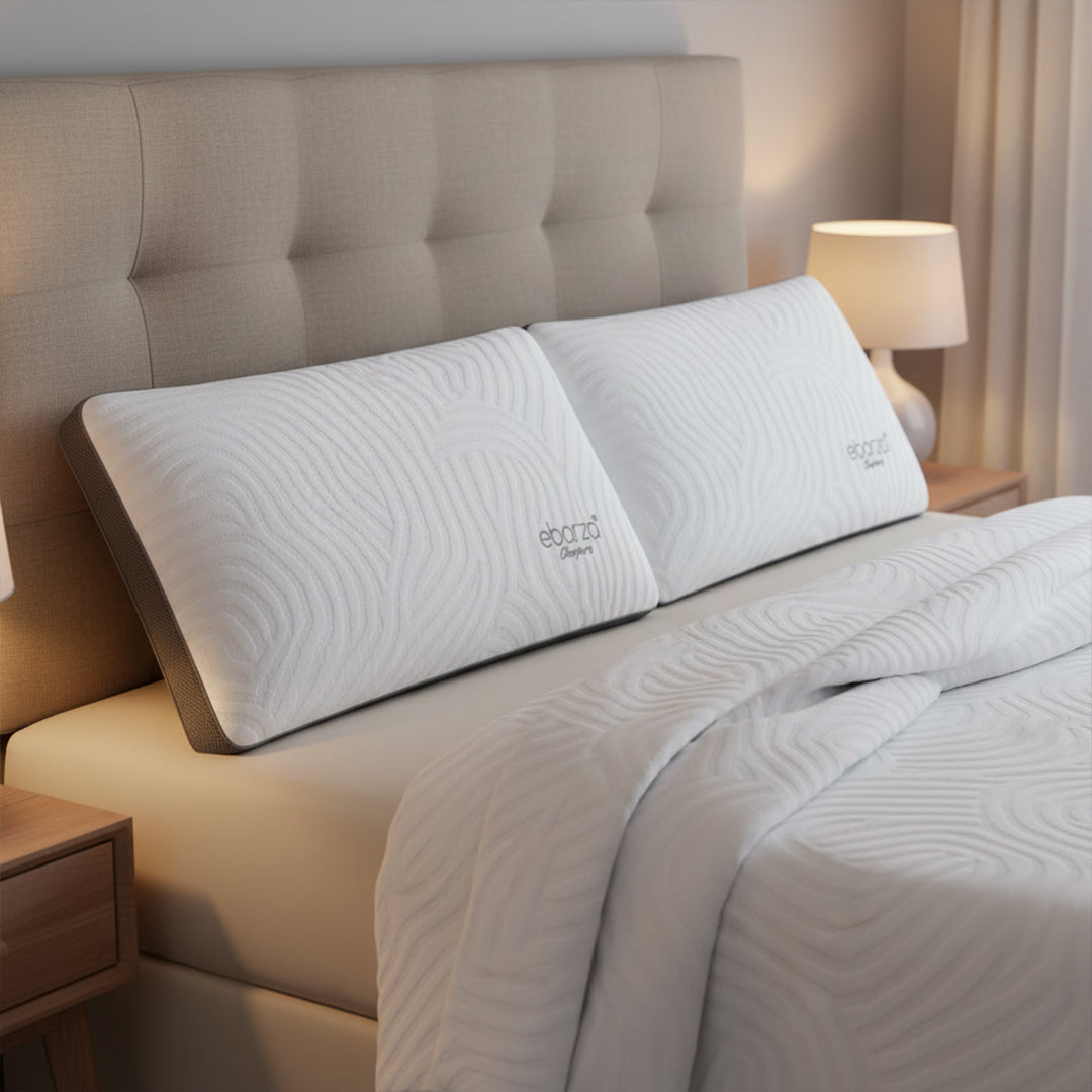 Pre-order 15 Days Delivery 45*70cm ebarza Charpure Memory Pillow Z20250930-Charcoal