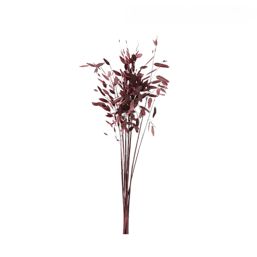 Set Of 10 Bunches Of Dried Flowers-L FF-JH24001L -  Plants - ebarza Furniture UAE | Shop Modern Furniture in Abu Dhabi & Dubai - مفروشات ايبازرا في الامارات | تسوق اثاث عصري وديكورات مميزة في دبي وابوظبي