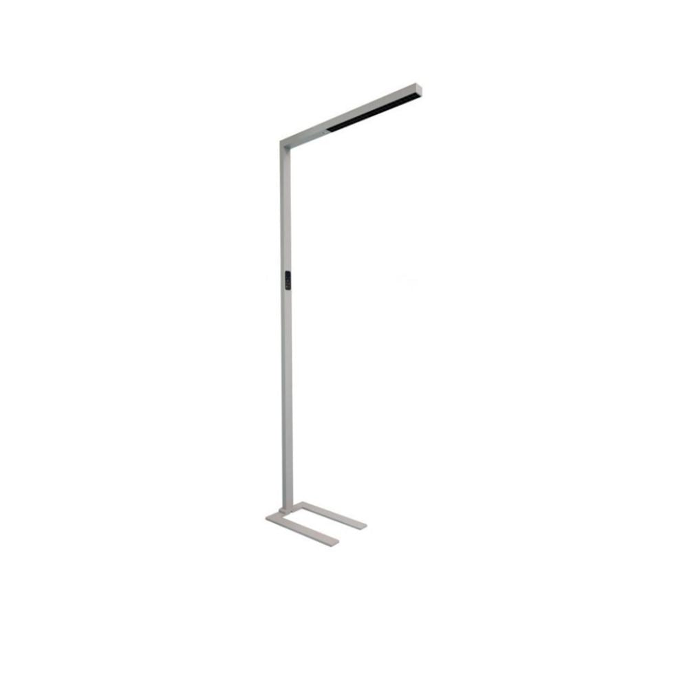 Floor Lamp with CCT changeable, Motion & Daylight sensor - BR-FS0006-60W-I01