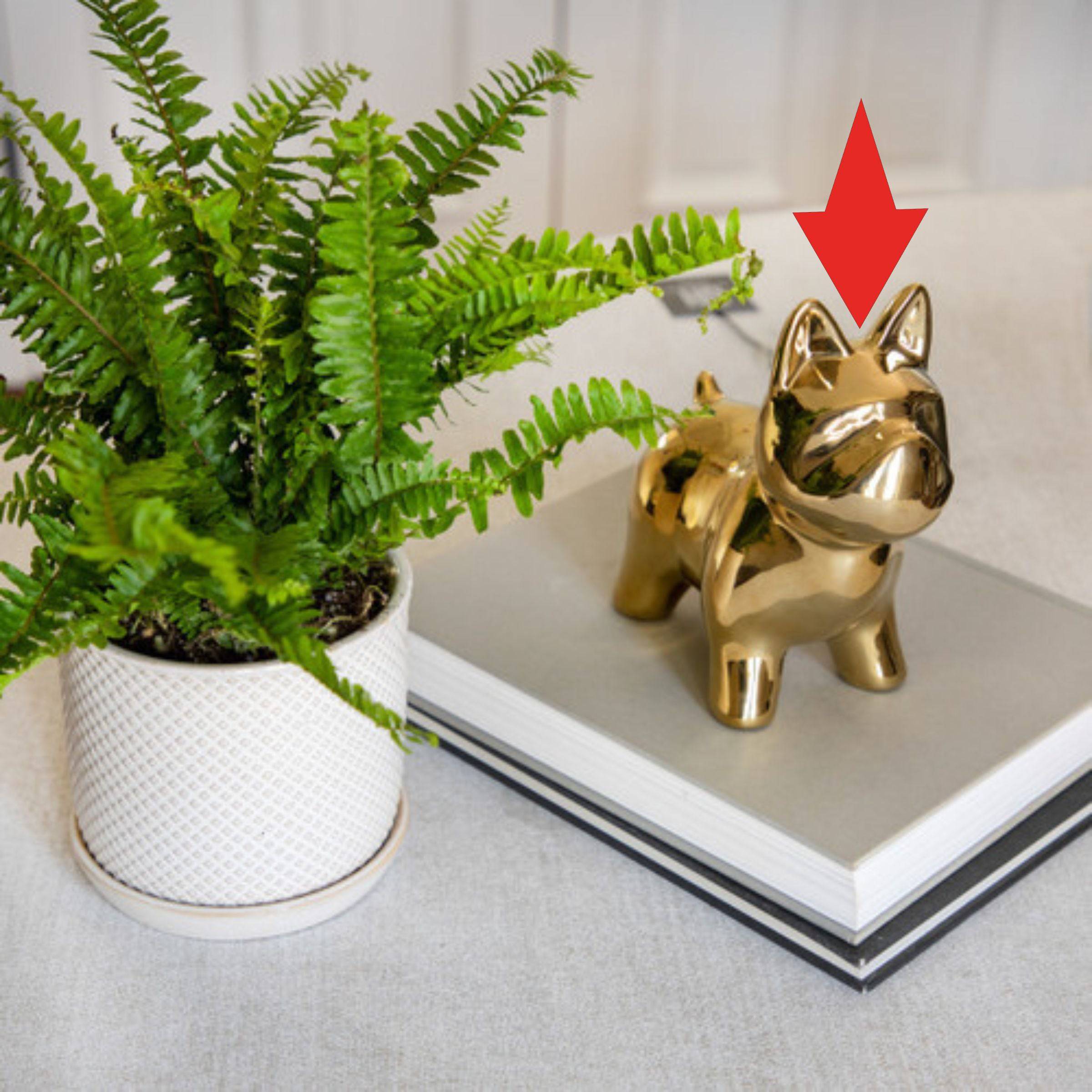 Dog Ceramic Table Décor - Gold 15827-01 -  Home Decor Figurines | ديكور طاولة سيراميك للكلاب - ذهبي - ebarza Furniture UAE | Shop Modern Furniture in Abu Dhabi & Dubai - مفروشات ايبازرا في الامارات | تسوق اثاث عصري وديكورات مميزة في دبي وابوظبي