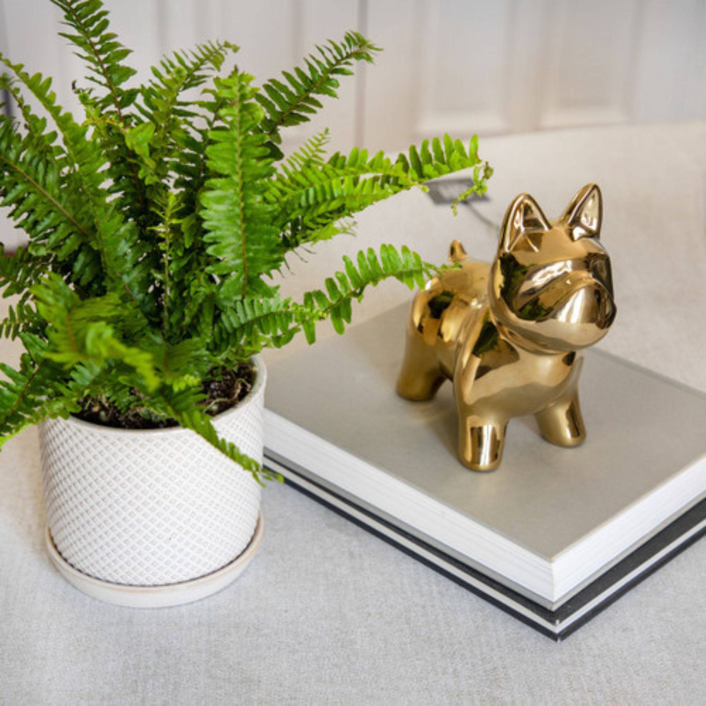 Dog Ceramic Table Décor - Gold 15827-01 -  Home Decor Figurines | ديكور طاولة سيراميك للكلاب - ذهبي - ebarza Furniture UAE | Shop Modern Furniture in Abu Dhabi & Dubai - مفروشات ايبازرا في الامارات | تسوق اثاث عصري وديكورات مميزة في دبي وابوظبي