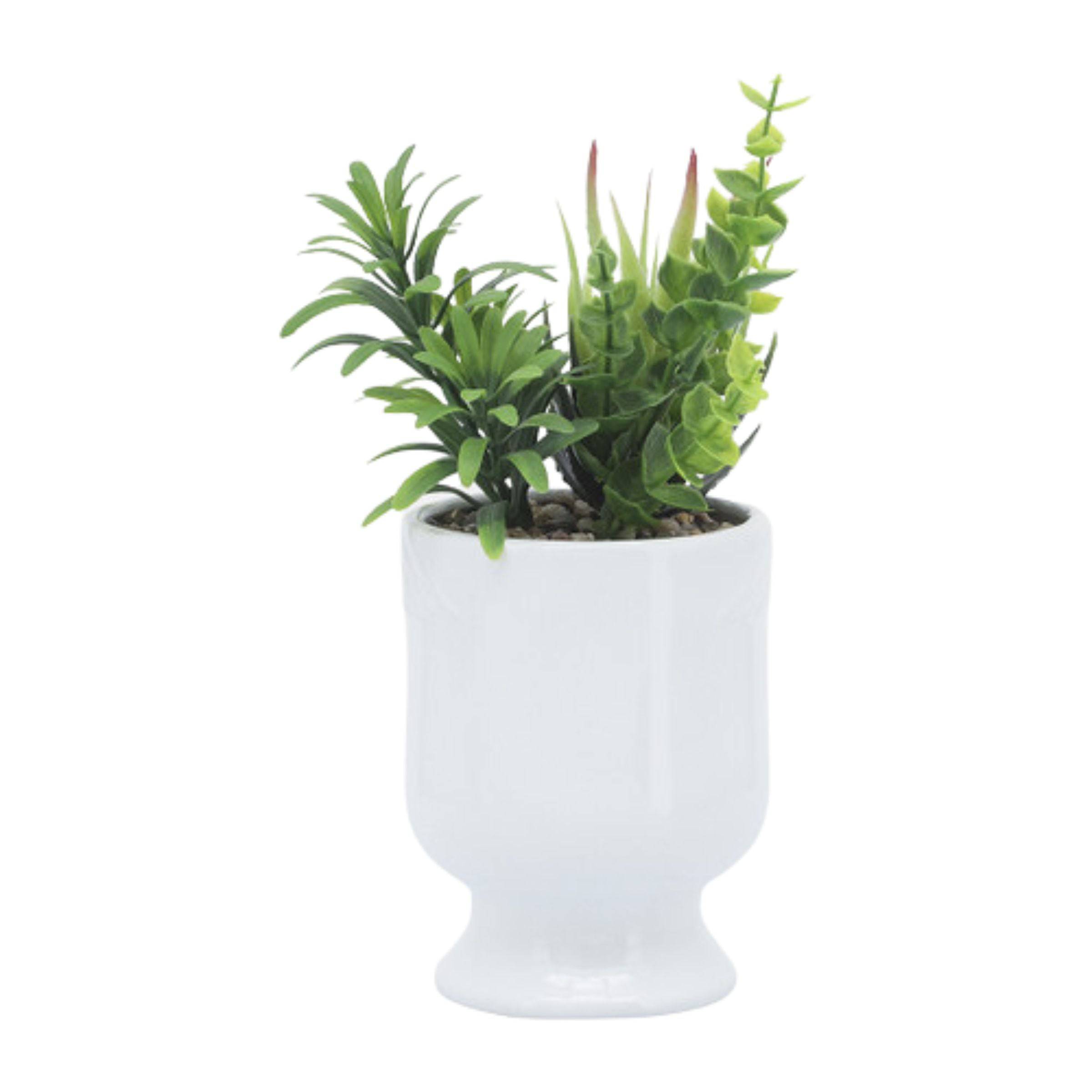 Face Ceramic Planter With Artificial Plants 10 Cm - White 16971-01 -  Planter Boxes | زارع سيراميك وجه مع نباتات صناعية 10 سم - أبيض - ebarza Furniture UAE | Shop Modern Furniture in Abu Dhabi & Dubai - مفروشات ايبازرا في الامارات | تسوق اثاث عصري وديكورات مميزة في دبي وابوظبي