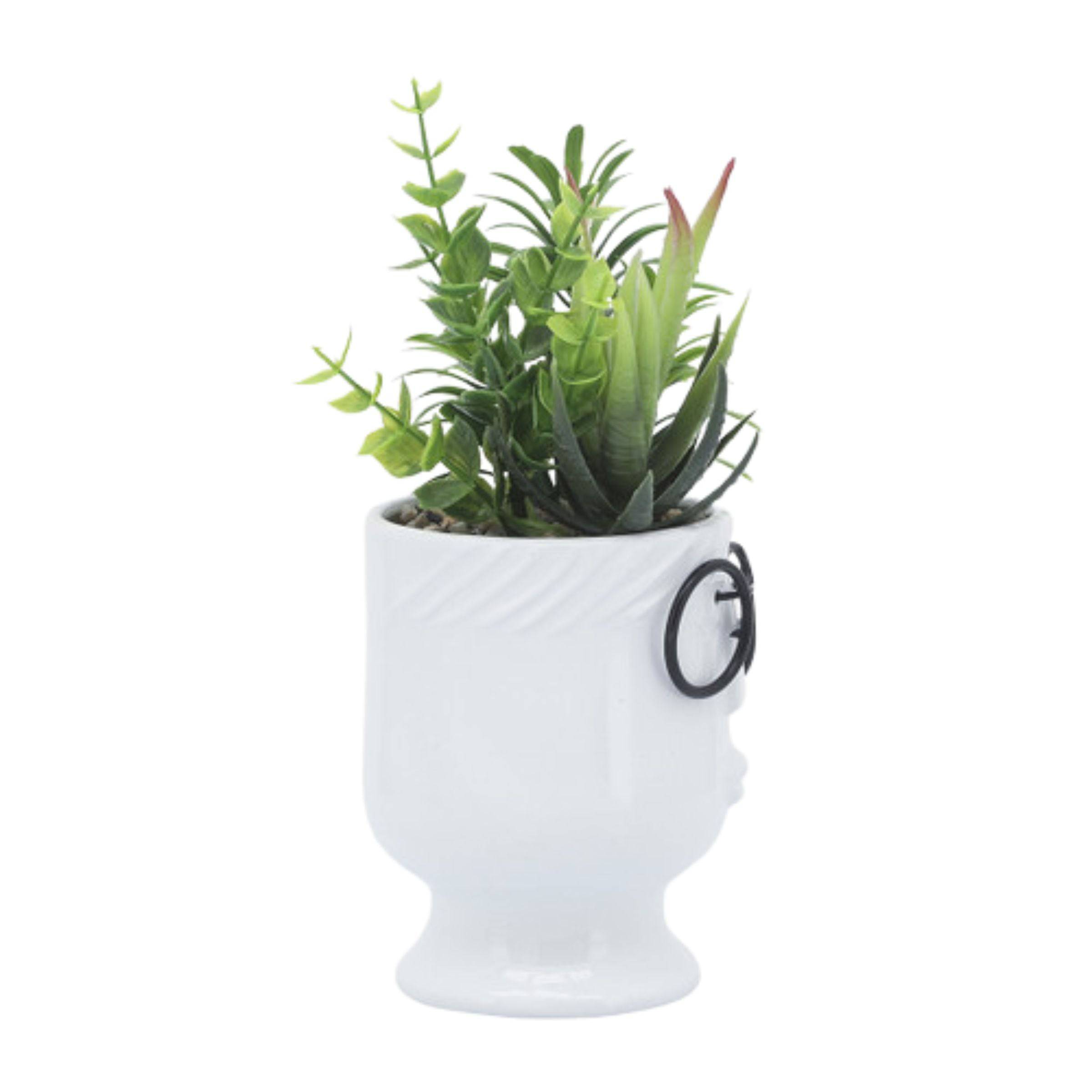 Face Ceramic Planter With Artificial Plants 10 Cm - White 16971-01 -  Planter Boxes | زارع سيراميك وجه مع نباتات صناعية 10 سم - أبيض - ebarza Furniture UAE | Shop Modern Furniture in Abu Dhabi & Dubai - مفروشات ايبازرا في الامارات | تسوق اثاث عصري وديكورات مميزة في دبي وابوظبي