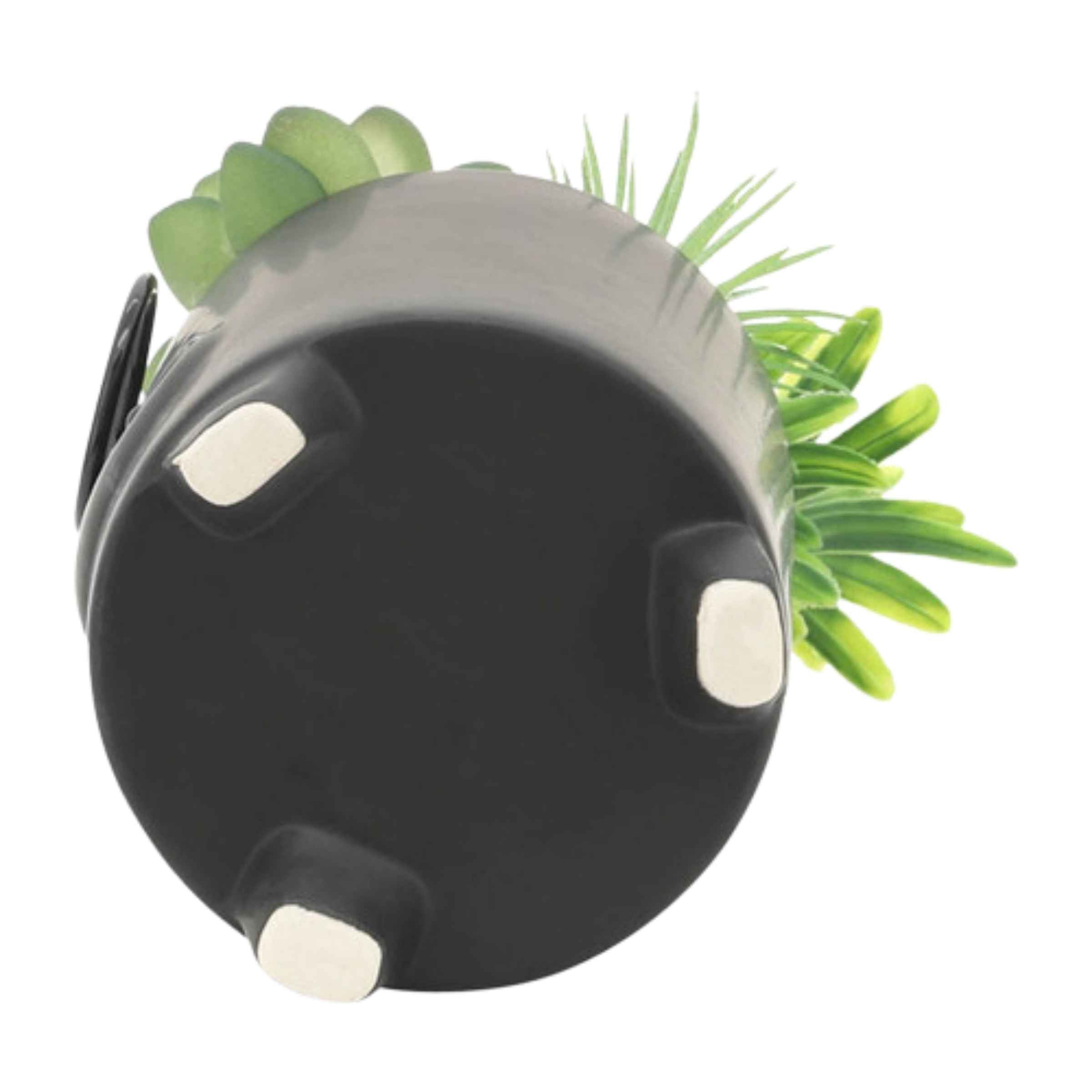 Face Ceramic Planter With Artificial Plants 8.89 Cm - Black 16972-02 -  Planter Boxes | زارع سيراميك وجه مع نباتات صناعية 8.89 سم - أسود - ebarza Furniture UAE | Shop Modern Furniture in Abu Dhabi & Dubai - مفروشات ايبازرا في الامارات | تسوق اثاث عصري وديكورات مميزة في دبي وابوظبي