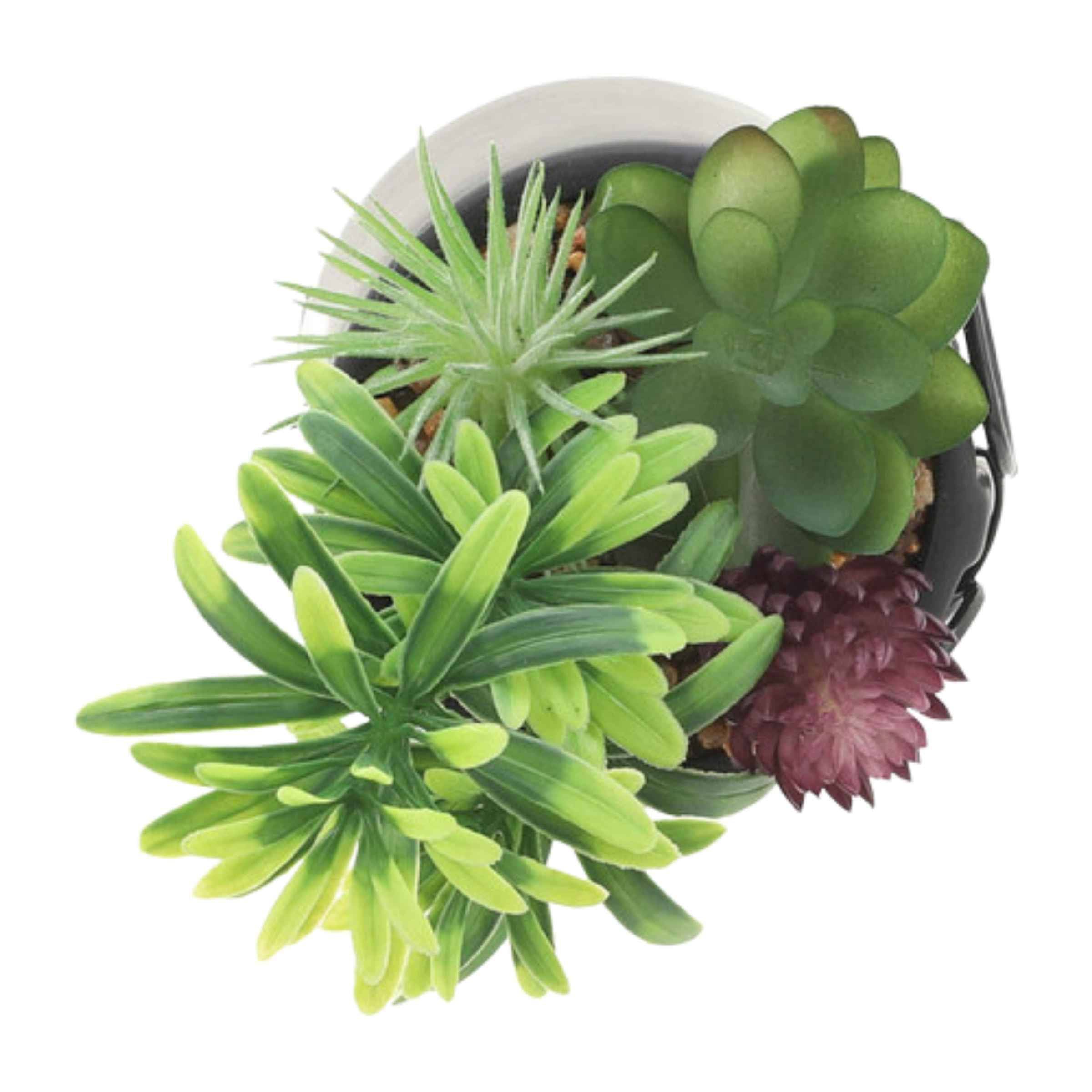 Face Ceramic Planter With Artificial Plants 8.89 Cm - Black 16972-02 -  Planter Boxes | زارع سيراميك وجه مع نباتات صناعية 8.89 سم - أسود - ebarza Furniture UAE | Shop Modern Furniture in Abu Dhabi & Dubai - مفروشات ايبازرا في الامارات | تسوق اثاث عصري وديكورات مميزة في دبي وابوظبي