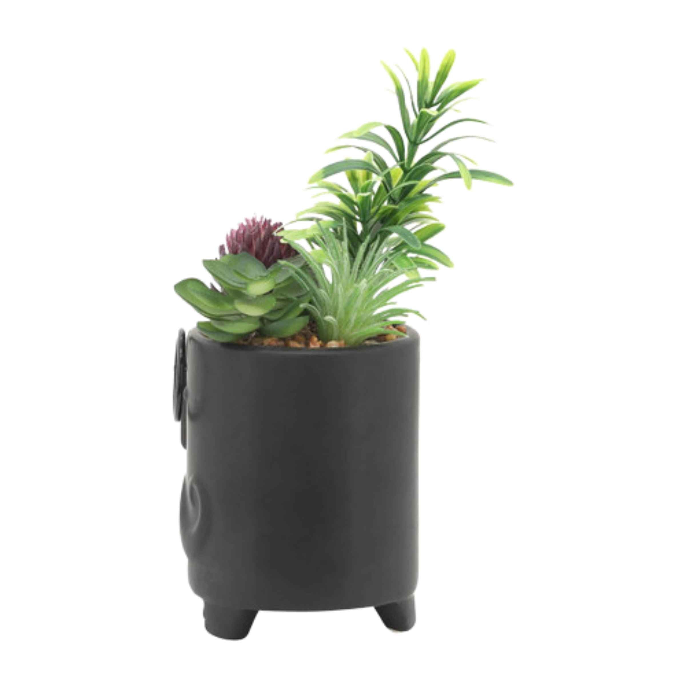 Face Ceramic Planter With Artificial Plants 8.89 Cm - Black 16972-02 -  Planter Boxes | زارع سيراميك وجه مع نباتات صناعية 8.89 سم - أسود - ebarza Furniture UAE | Shop Modern Furniture in Abu Dhabi & Dubai - مفروشات ايبازرا في الامارات | تسوق اثاث عصري وديكورات مميزة في دبي وابوظبي