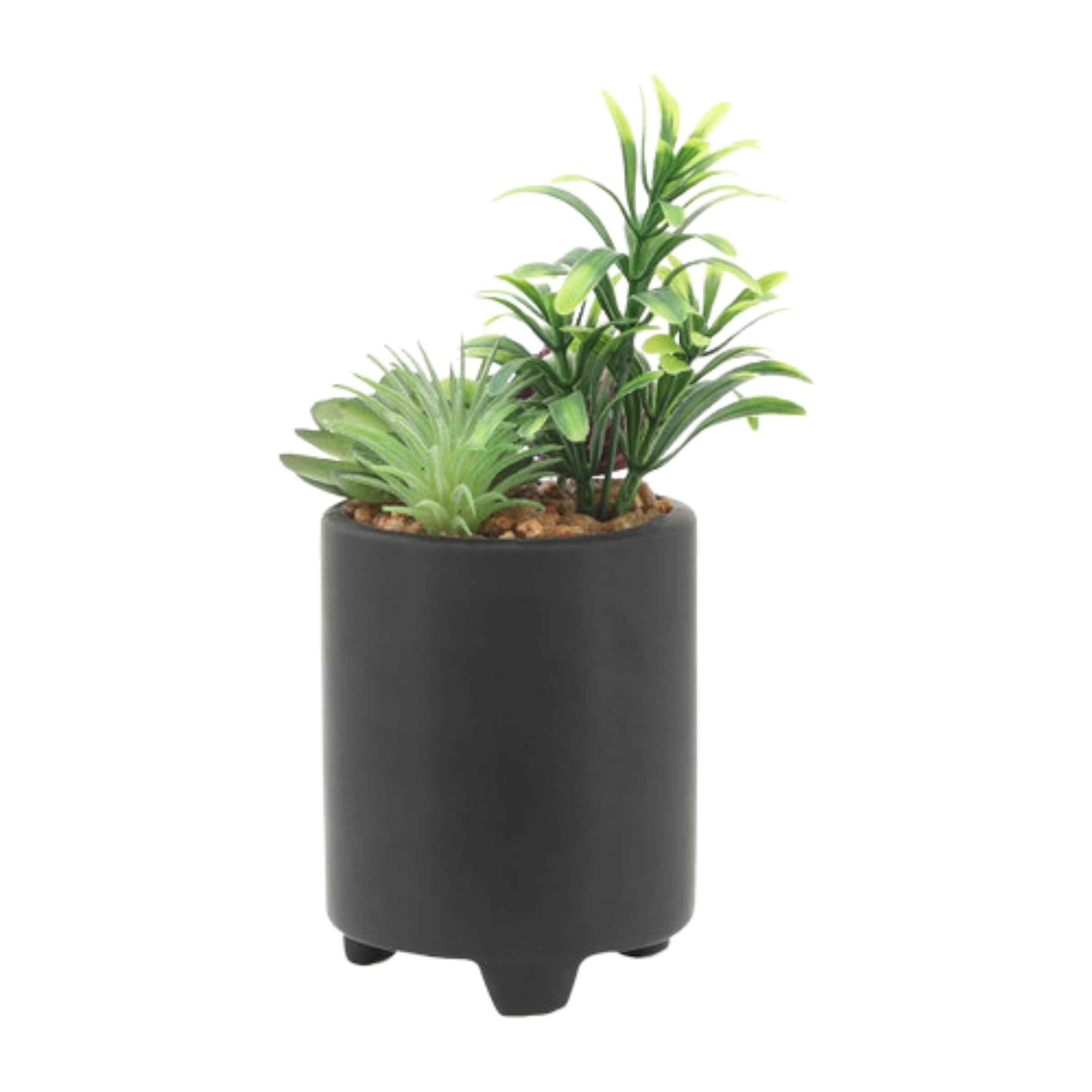 Face Ceramic Planter With Artificial Plants 8.89 Cm - Black 16972-02 -  Planter Boxes | زارع سيراميك وجه مع نباتات صناعية 8.89 سم - أسود - ebarza Furniture UAE | Shop Modern Furniture in Abu Dhabi & Dubai - مفروشات ايبازرا في الامارات | تسوق اثاث عصري وديكورات مميزة في دبي وابوظبي