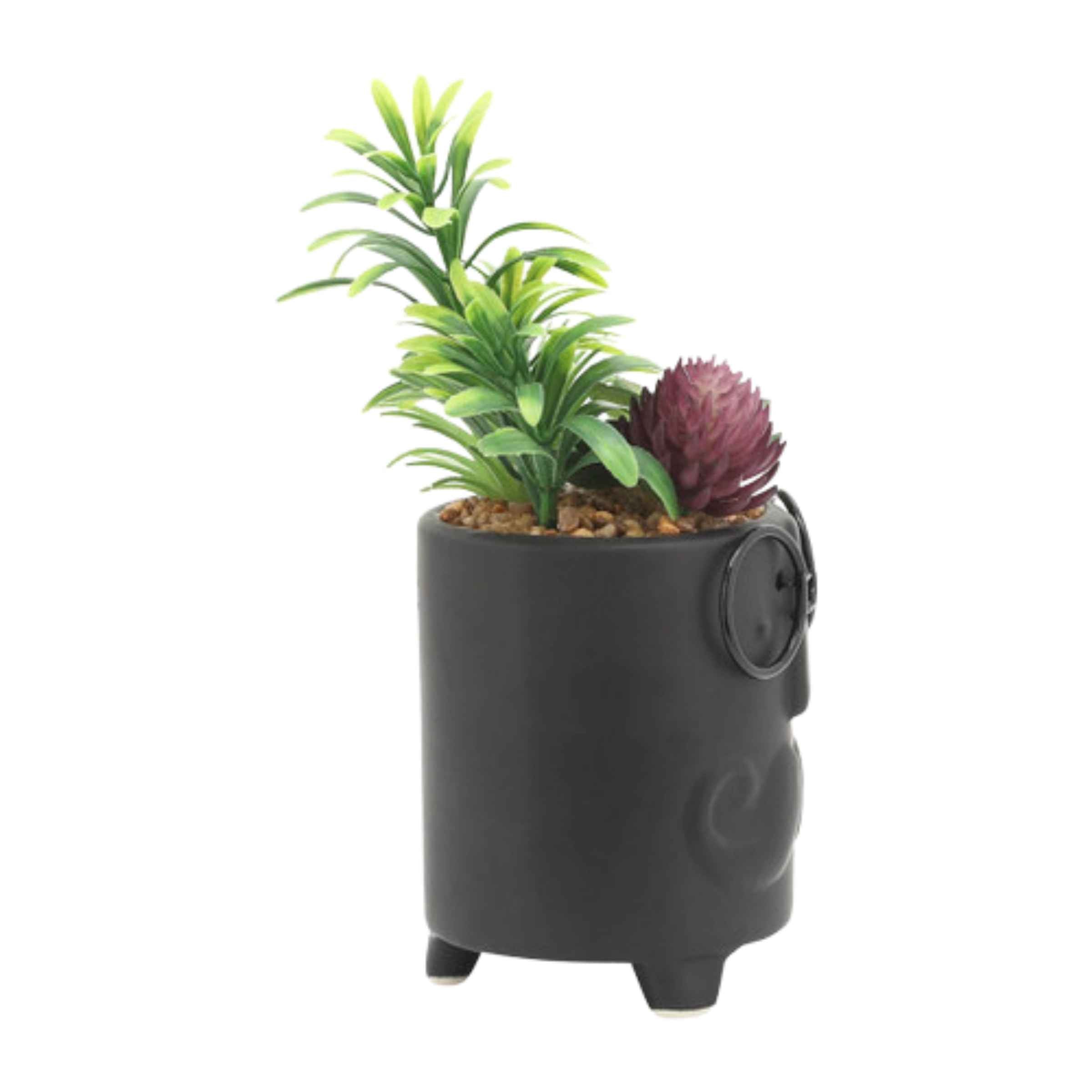 Face Ceramic Planter With Artificial Plants 8.89 Cm - Black 16972-02 -  Planter Boxes | زارع سيراميك وجه مع نباتات صناعية 8.89 سم - أسود - ebarza Furniture UAE | Shop Modern Furniture in Abu Dhabi & Dubai - مفروشات ايبازرا في الامارات | تسوق اثاث عصري وديكورات مميزة في دبي وابوظبي