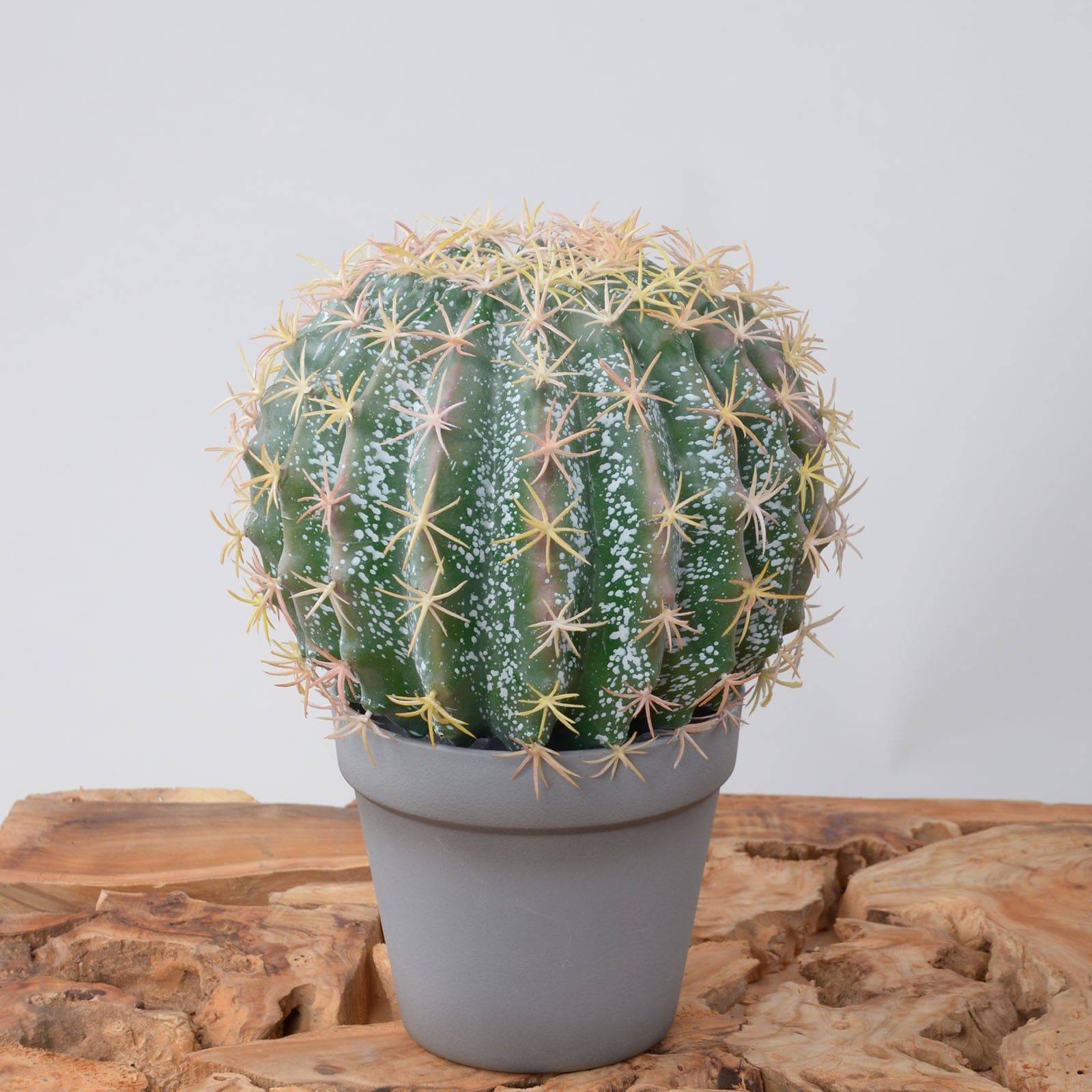 Handmade Decorative Artificial Cactus Yf16Sp-12934 -  Plants - ebarza Furniture UAE | Shop Modern Furniture in Abu Dhabi & Dubai - مفروشات ايبازرا في الامارات | تسوق اثاث عصري وديكورات مميزة في دبي وابوظبي