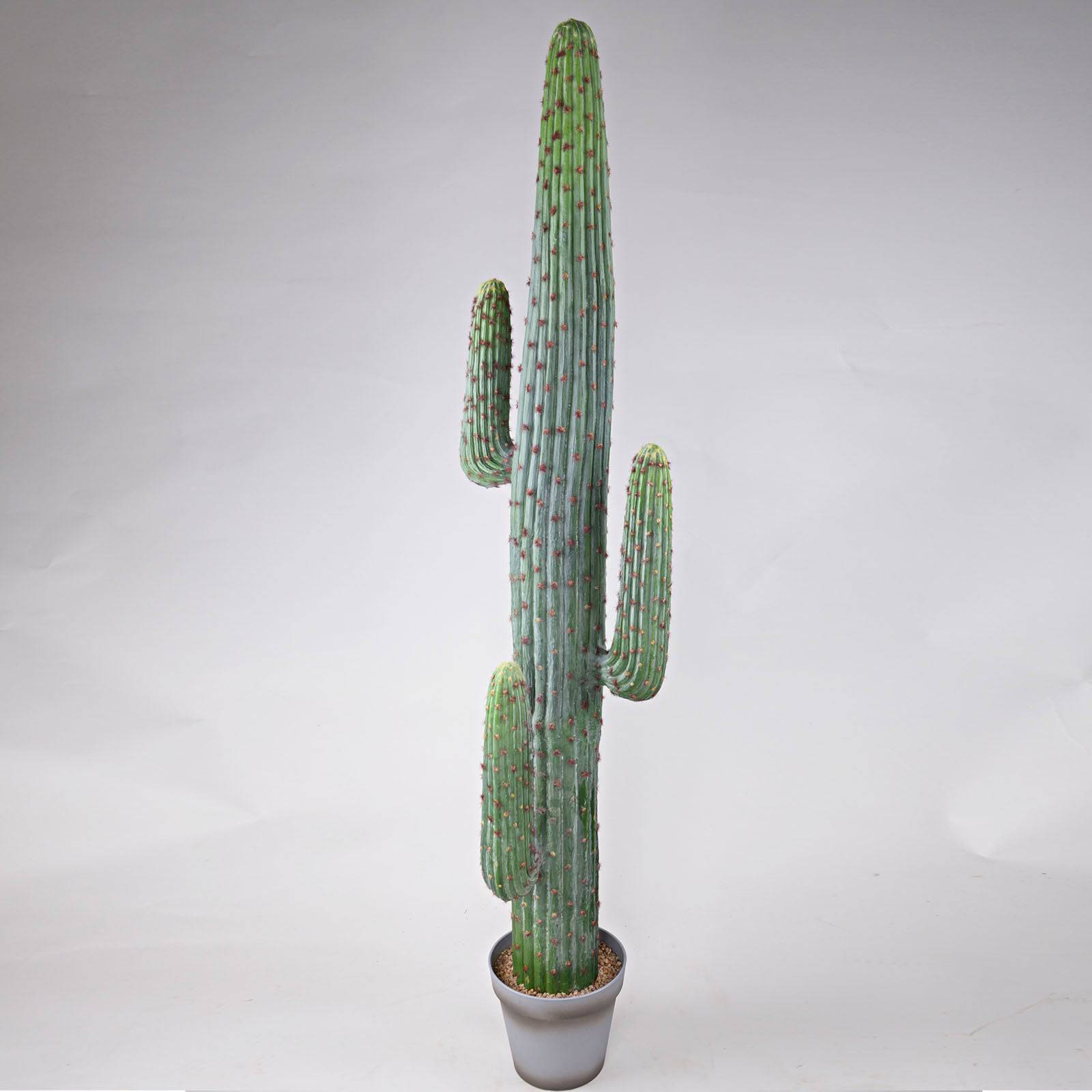 Handmade   Decorative Artificial Cactus Yf16Sp-13631 -  Plants - ebarza Furniture UAE | Shop Modern Furniture in Abu Dhabi & Dubai - مفروشات ايبازرا في الامارات | تسوق اثاث عصري وديكورات مميزة في دبي وابوظبي