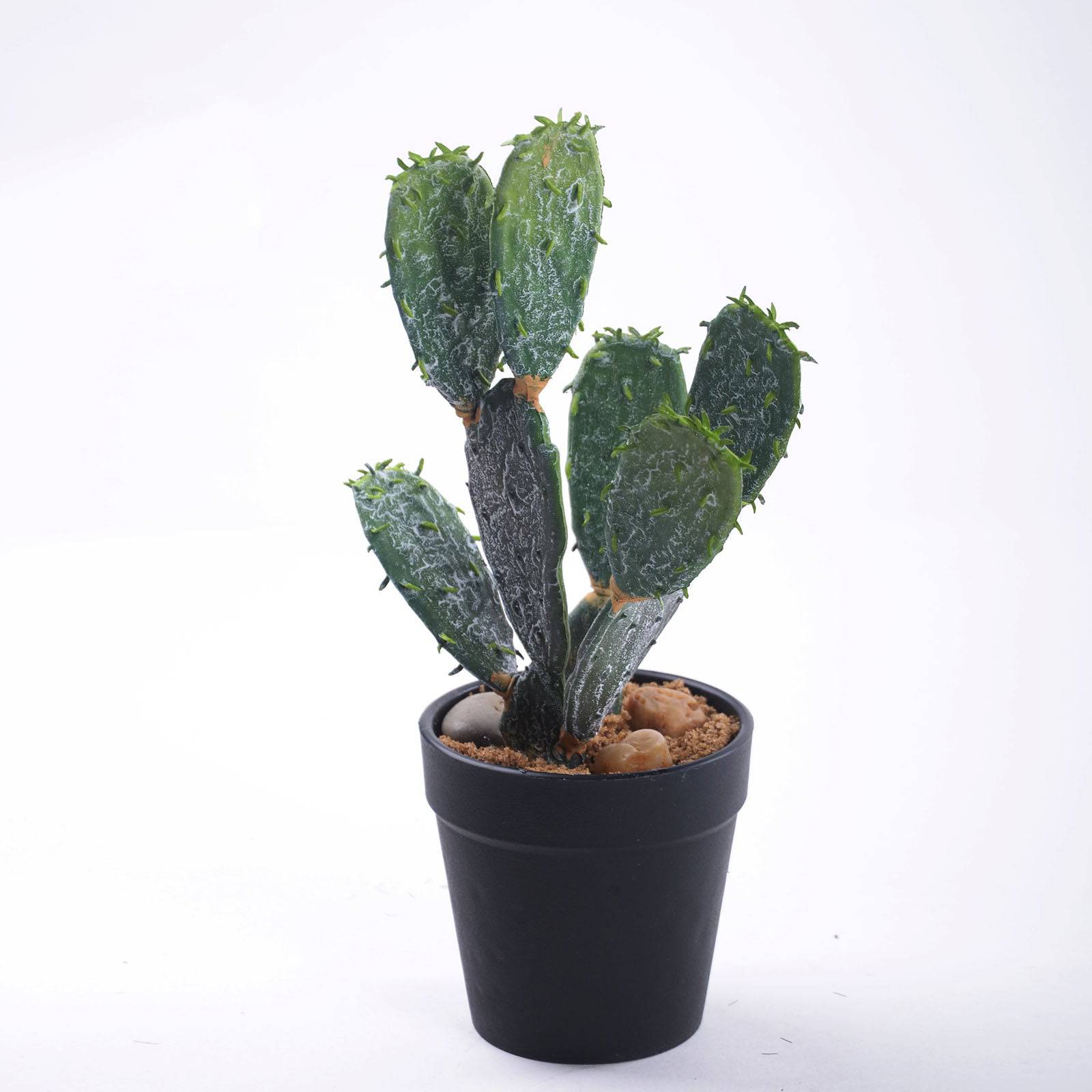 Handmade Decorative Artificial Cactus Yf17Sp-15827 -  Plants - ebarza Furniture UAE | Shop Modern Furniture in Abu Dhabi & Dubai - مفروشات ايبازرا في الامارات | تسوق اثاث عصري وديكورات مميزة في دبي وابوظبي