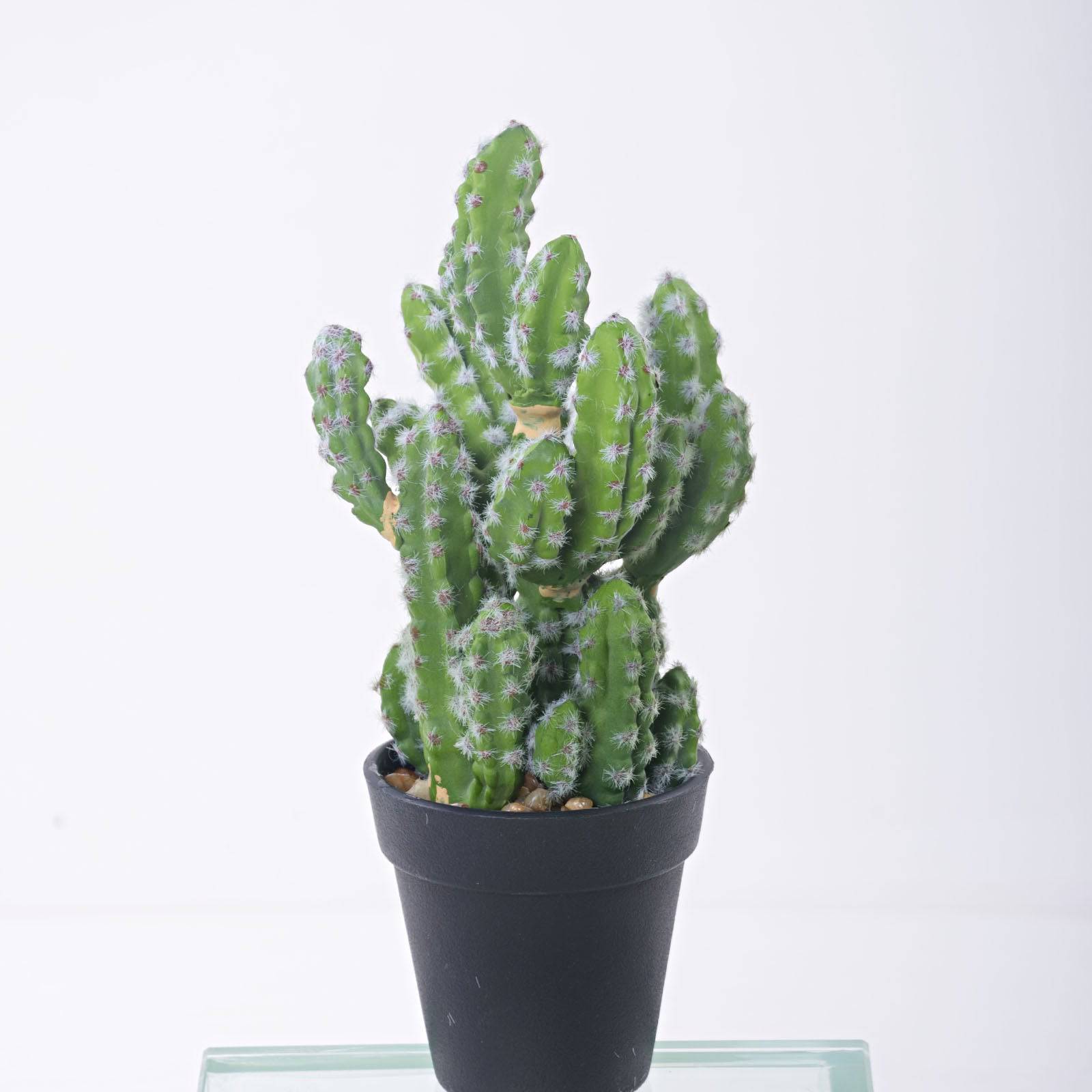 Handmade Decorative Artificial Cactus Yf17Sp-16100 -  Plants - ebarza Furniture UAE | Shop Modern Furniture in Abu Dhabi & Dubai - مفروشات ايبازرا في الامارات | تسوق اثاث عصري وديكورات مميزة في دبي وابوظبي