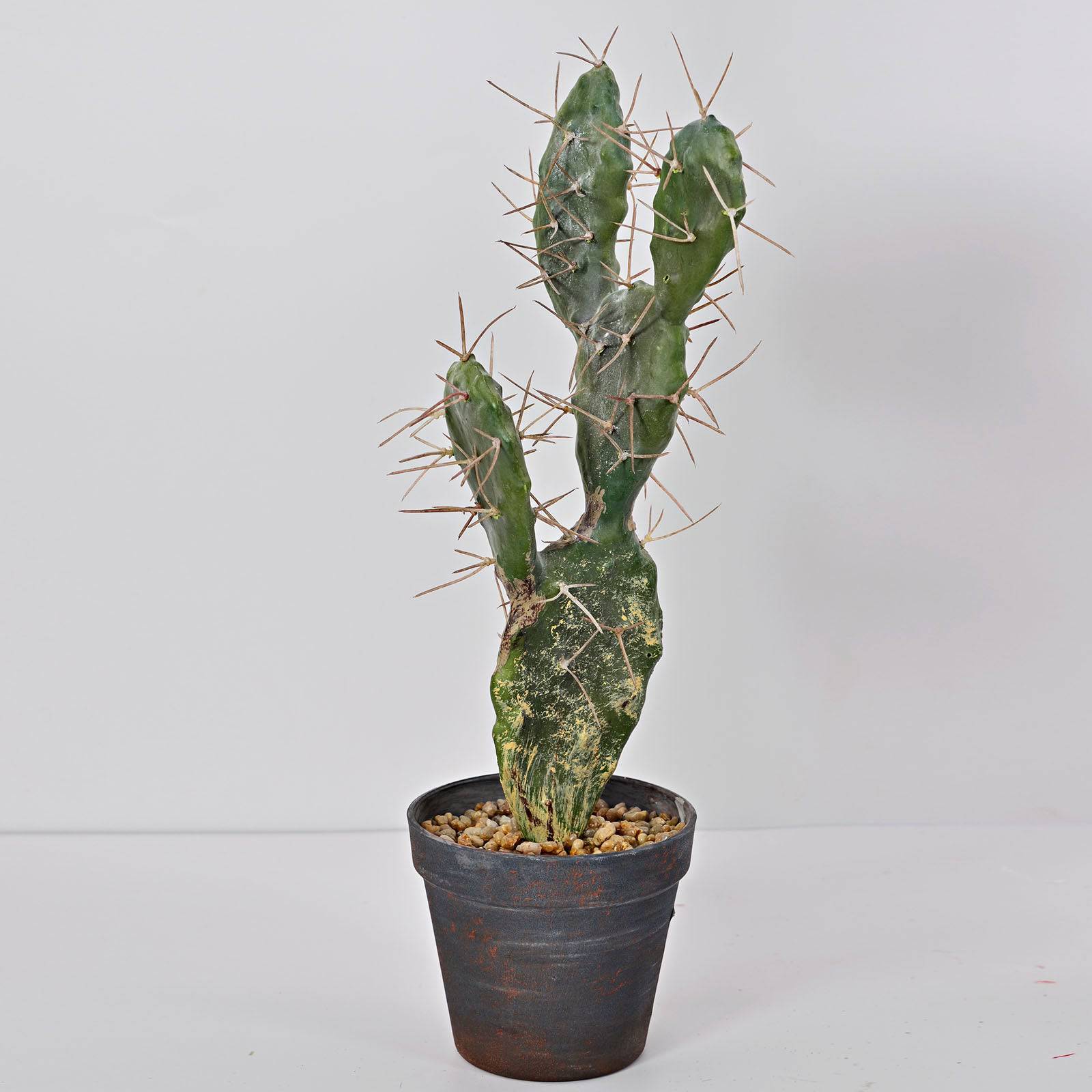 Handmade Decorative Artificial Cactus Yf17Sp-17688 -  Plants | صبار اصطناعي مزخرف يدويًا - ebarza Furniture UAE | Shop Modern Furniture in Abu Dhabi & Dubai - مفروشات ايبازرا في الامارات | تسوق اثاث عصري وديكورات مميزة في دبي وابوظبي