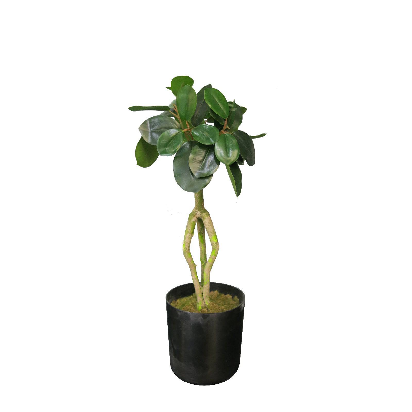 Handmade Decorative Artificial Plant  Dgly-Yc062 -  Plants | نبات اصطناعي مزخرف يدويًا - ebarza Furniture UAE | Shop Modern Furniture in Abu Dhabi & Dubai - مفروشات ايبازرا في الامارات | تسوق اثاث عصري وديكورات مميزة في دبي وابوظبي