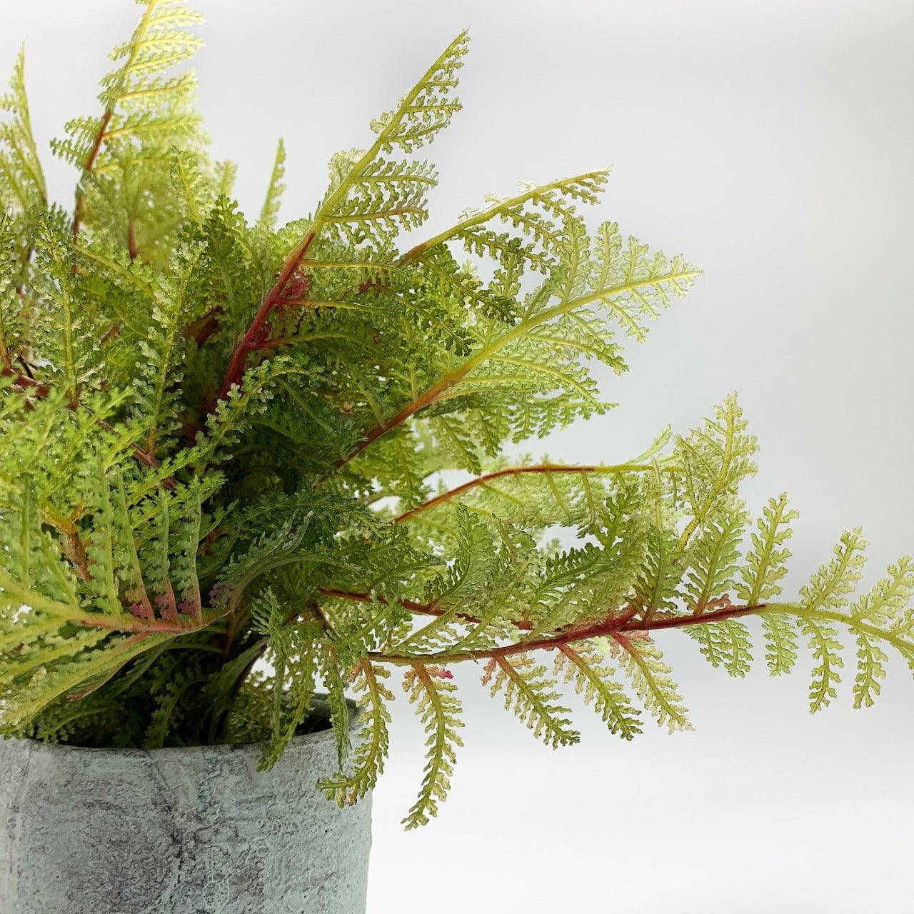 Handmade Decorative Artificial Plant Dgz 002 K32 -  Plants | نبات صناعي مزخرف يدويًا - ebarza Furniture UAE | Shop Modern Furniture in Abu Dhabi & Dubai - مفروشات ايبازرا في الامارات | تسوق اثاث عصري وديكورات مميزة في دبي وابوظبي