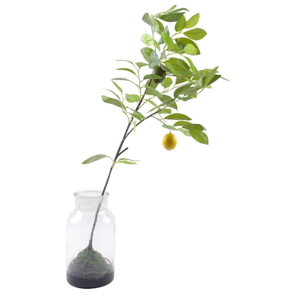 Handmade Decorative Artificial Plant  N36020-Bj184 -  Plants | نبات اصطناعي مزخرف يدويًا - ebarza Furniture UAE | Shop Modern Furniture in Abu Dhabi & Dubai - مفروشات ايبازرا في الامارات | تسوق اثاث عصري وديكورات مميزة في دبي وابوظبي