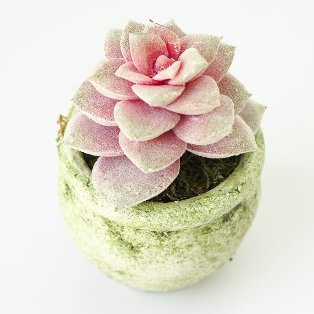 Handmade Decorative Artificial Plant N36520-PZ029 -  Plants - ebarza Furniture UAE | Shop Modern Furniture in Abu Dhabi & Dubai - مفروشات ايبازرا في الامارات | تسوق اثاث عصري وديكورات مميزة في دبي وابوظبي