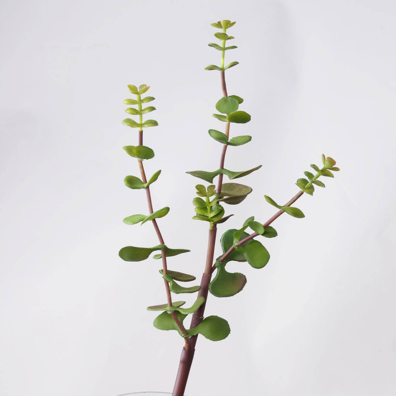 Handmade Decorative Artificial Plant N36920-Y046 -  Plants - ebarza Furniture UAE | Shop Modern Furniture in Abu Dhabi & Dubai - مفروشات ايبازرا في الامارات | تسوق اثاث عصري وديكورات مميزة في دبي وابوظبي