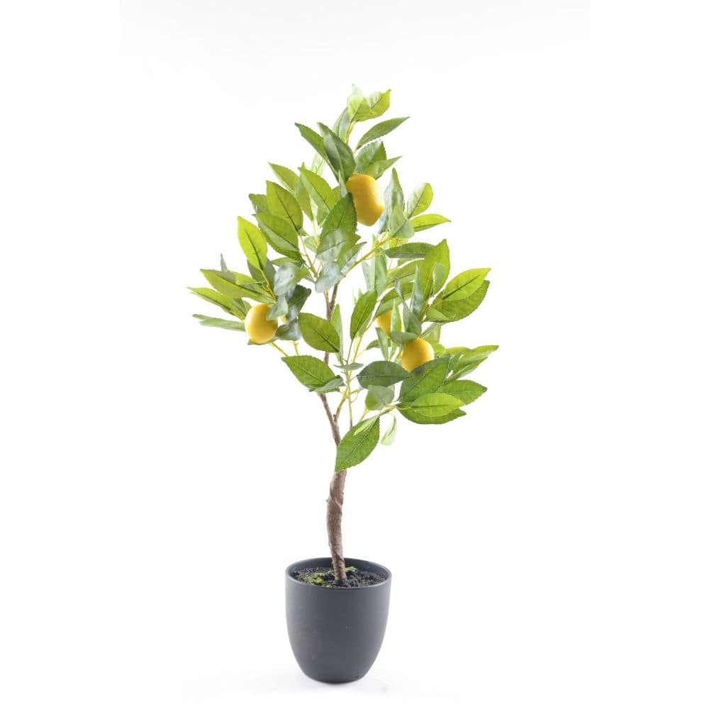 Handmade Decorative Artificial Plant  N37220-Pz004 -  Plants | نبات اصطناعي مزخرف يدويًا - ebarza Furniture UAE | Shop Modern Furniture in Abu Dhabi & Dubai - مفروشات ايبازرا في الامارات | تسوق اثاث عصري وديكورات مميزة في دبي وابوظبي