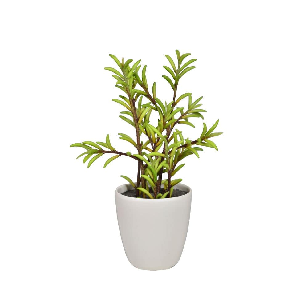 Handmade Decorative Artificial Plant  N38120-Pz002 -  Plants | نبات اصطناعي مزخرف يدويًا - ebarza Furniture UAE | Shop Modern Furniture in Abu Dhabi & Dubai - مفروشات ايبازرا في الامارات | تسوق اثاث عصري وديكورات مميزة في دبي وابوظبي