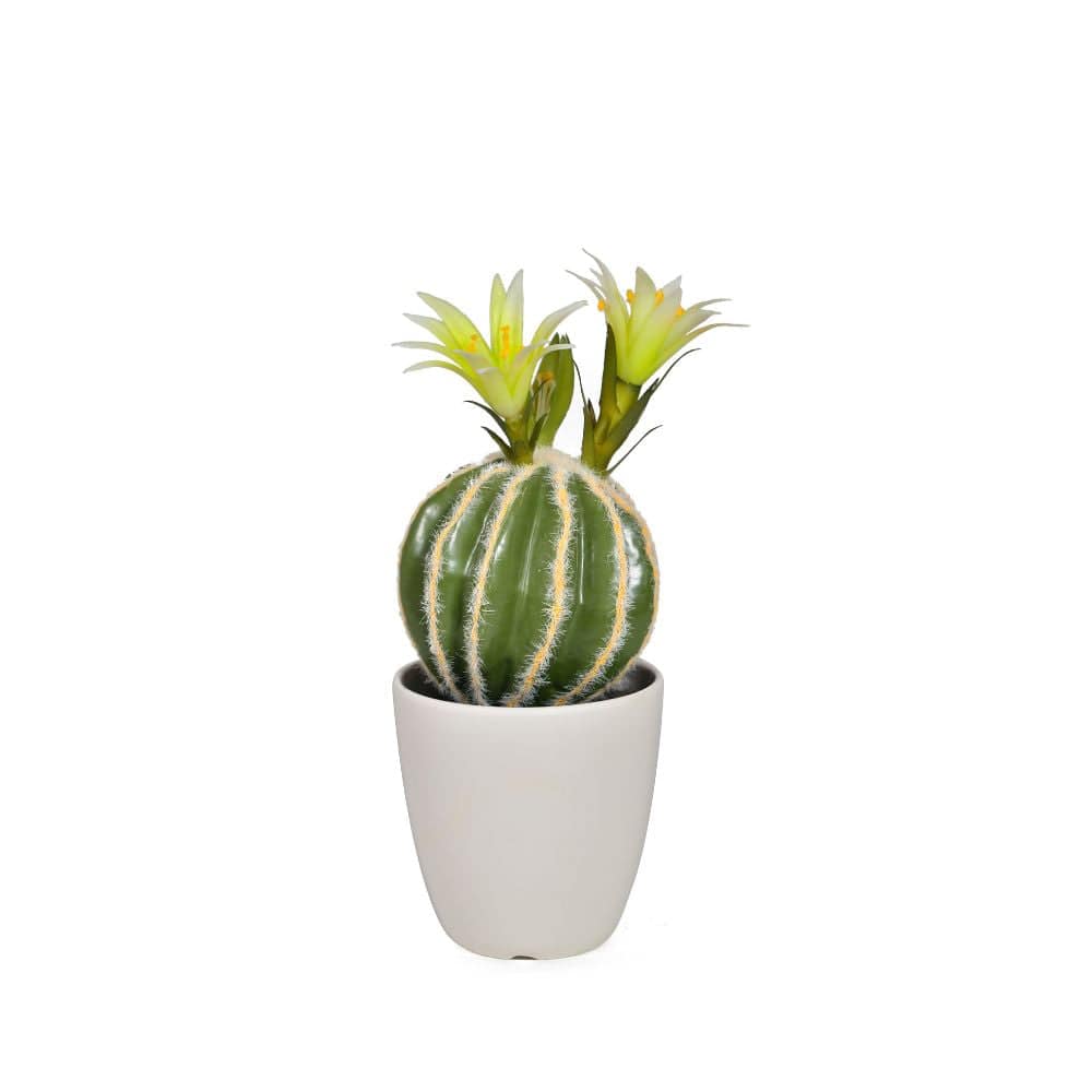 Handmade Decorative Artificial Plant  N38120-Pz004 -  Plants | نبات اصطناعي مزخرف يدويًا - ebarza Furniture UAE | Shop Modern Furniture in Abu Dhabi & Dubai - مفروشات ايبازرا في الامارات | تسوق اثاث عصري وديكورات مميزة في دبي وابوظبي