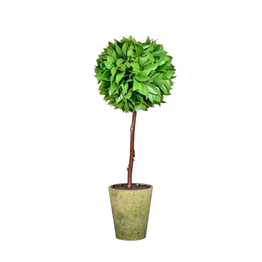 Handmade Decorative Artificial Plant  N39120-Pz003 -  Plants | نبات اصطناعي مزخرف يدويًا - ebarza Furniture UAE | Shop Modern Furniture in Abu Dhabi & Dubai - مفروشات ايبازرا في الامارات | تسوق اثاث عصري وديكورات مميزة في دبي وابوظبي