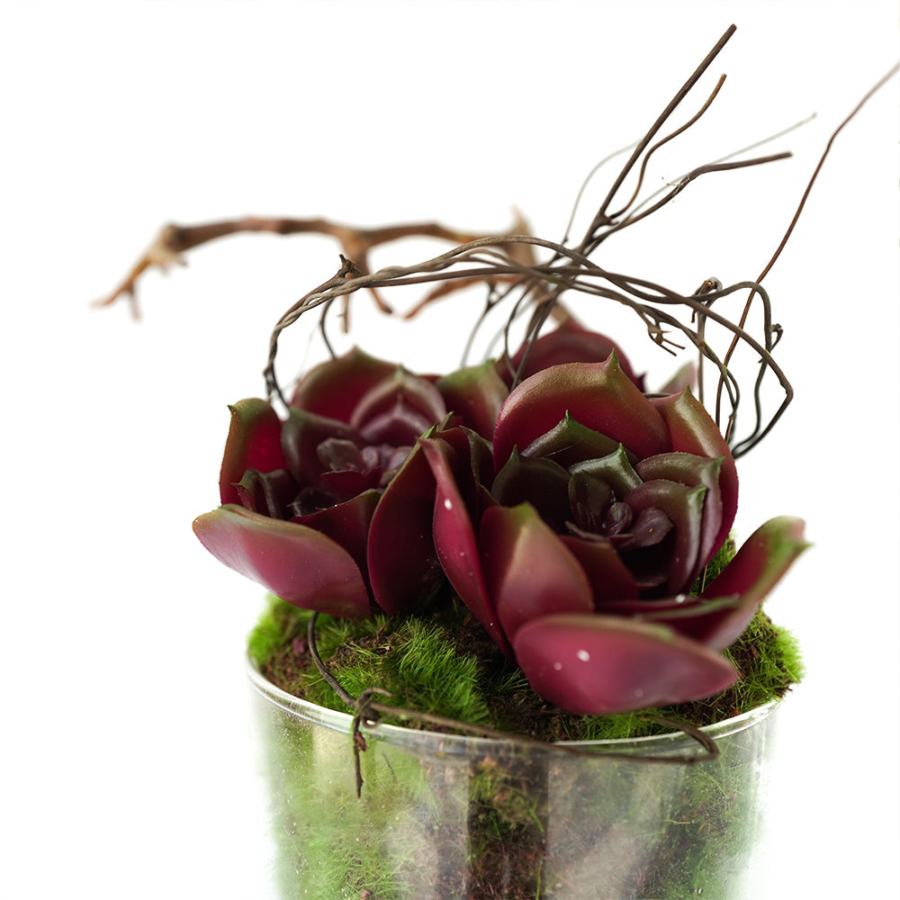 Handmade Decorative Artificial Plant Potted Succulent with Grass N36520-PZ040 -  Plants - ebarza Furniture UAE | Shop Modern Furniture in Abu Dhabi & Dubai - مفروشات ايبازرا في الامارات | تسوق اثاث عصري وديكورات مميزة في دبي وابوظبي