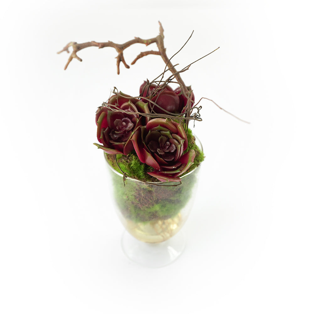 Handmade Decorative Artificial Plant Potted Succulent with Grass N36520-PZ040 -  Plants - ebarza Furniture UAE | Shop Modern Furniture in Abu Dhabi & Dubai - مفروشات ايبازرا في الامارات | تسوق اثاث عصري وديكورات مميزة في دبي وابوظبي