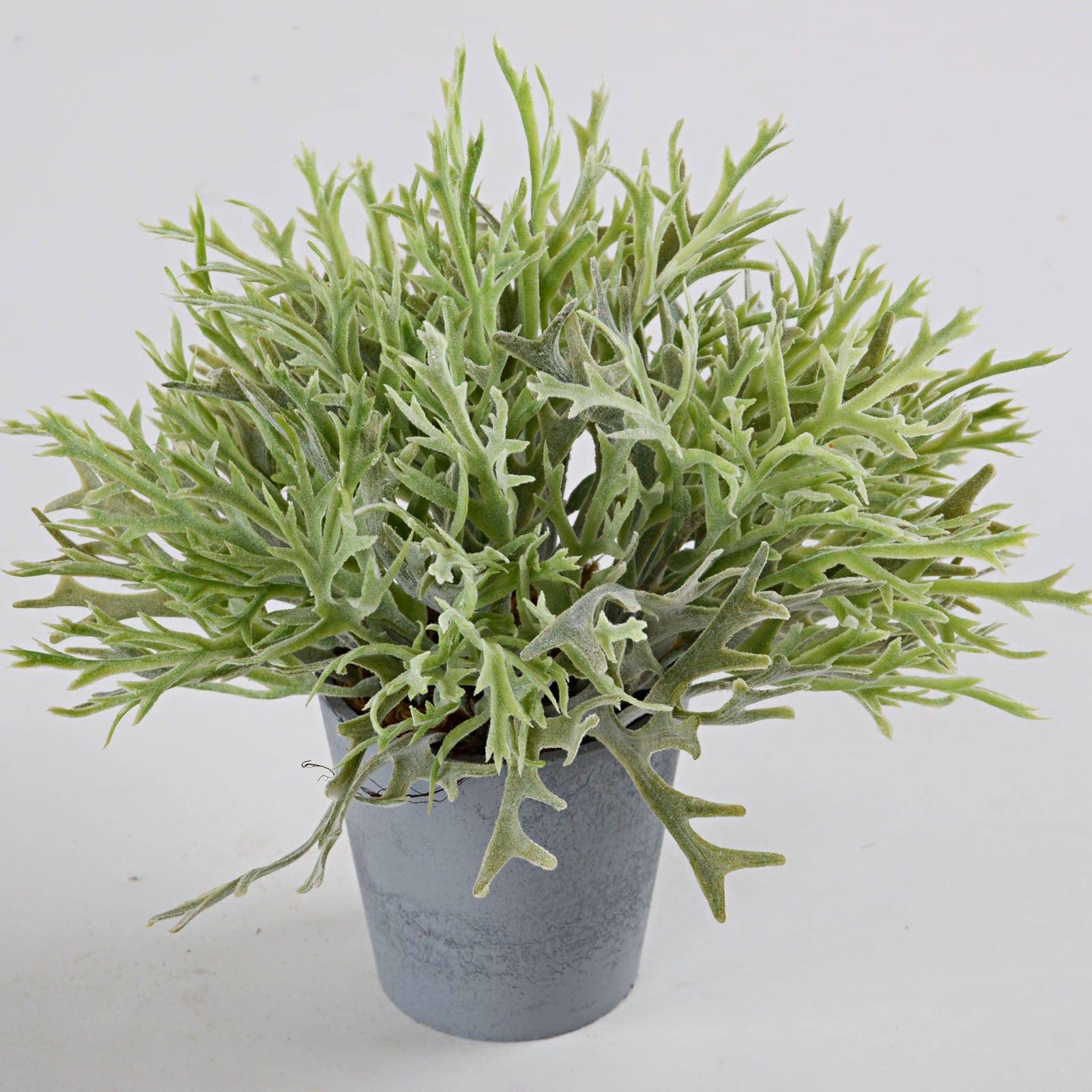 Handmade Decorative Artificial Plant Sh16-034 -  Plants - ebarza Furniture UAE | Shop Modern Furniture in Abu Dhabi & Dubai - مفروشات ايبازرا في الامارات | تسوق اثاث عصري وديكورات مميزة في دبي وابوظبي