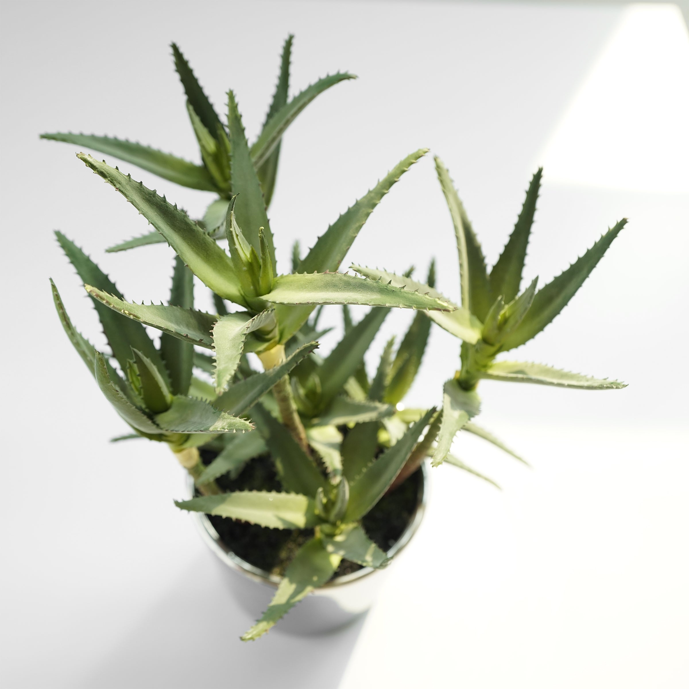 Handmade Decorative Artificial Potted Aloe N35020-PZ171 -  Plants - ebarza Furniture UAE | Shop Modern Furniture in Abu Dhabi & Dubai - مفروشات ايبازرا في الامارات | تسوق اثاث عصري وديكورات مميزة في دبي وابوظبي