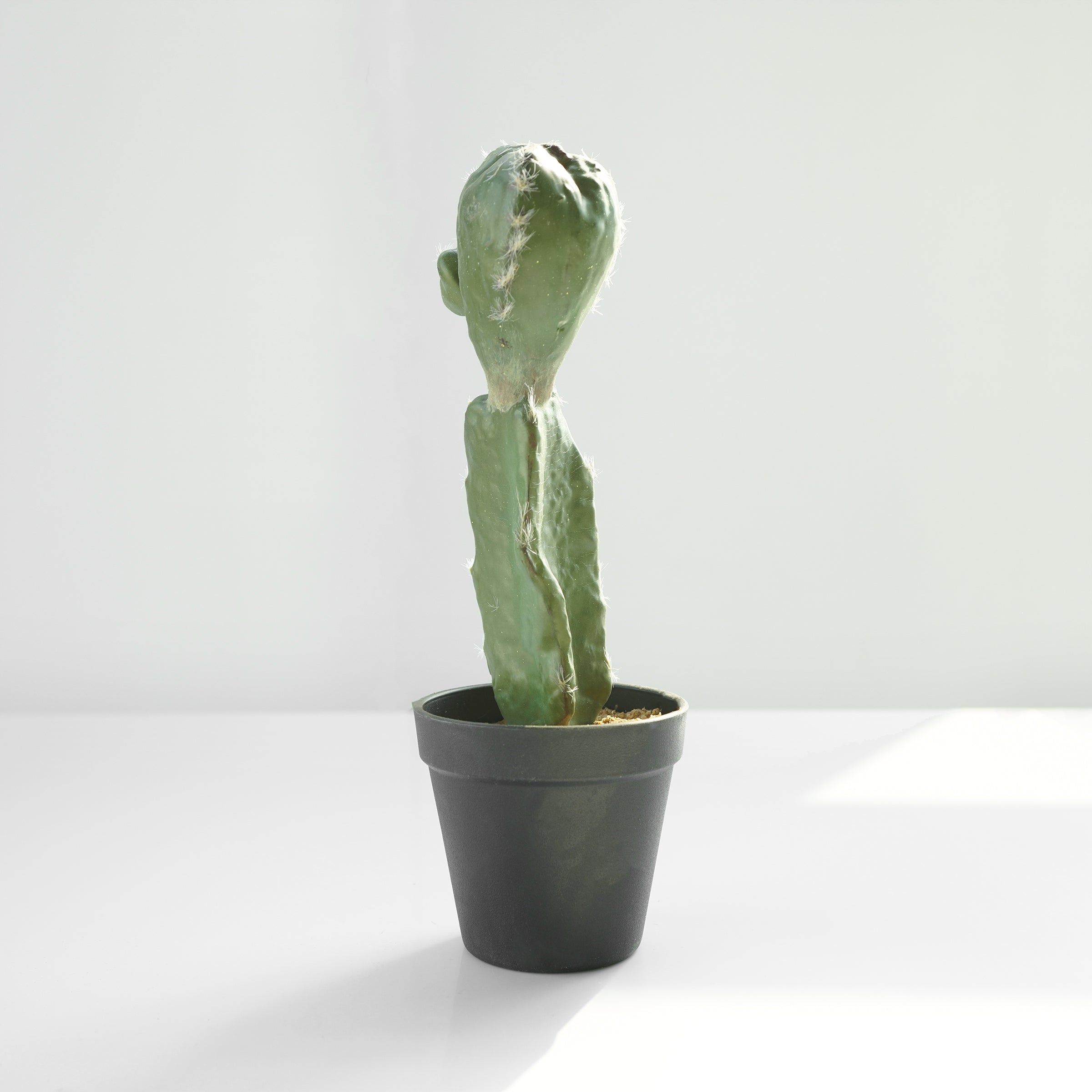 Handmade Decorative Artificial Potted Cactus  PR00015C -  Plants - ebarza Furniture UAE | Shop Modern Furniture in Abu Dhabi & Dubai - مفروشات ايبازرا في الامارات | تسوق اثاث عصري وديكورات مميزة في دبي وابوظبي