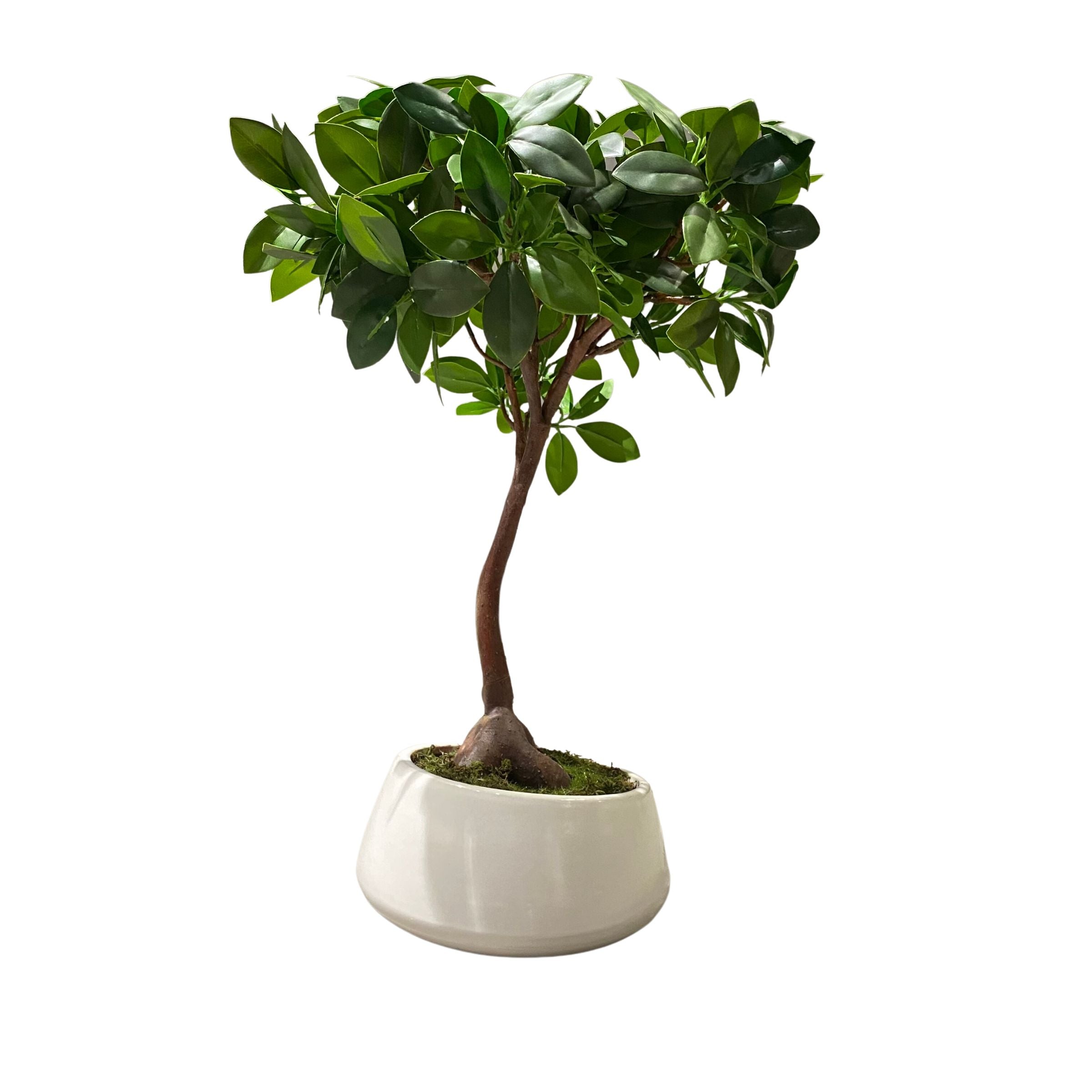 Handmade Decorative Artificial Potted Plants N36520-PZ055 -  Plants - ebarza Furniture UAE | Shop Modern Furniture in Abu Dhabi & Dubai - مفروشات ايبازرا في الامارات | تسوق اثاث عصري وديكورات مميزة في دبي وابوظبي