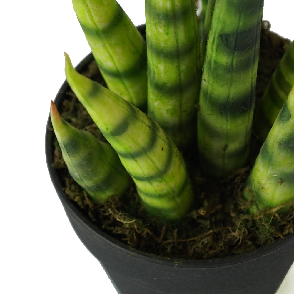 Handmade Decorative Potted Aloe Plant N36020-PZ154 -  Plants - ebarza Furniture UAE | Shop Modern Furniture in Abu Dhabi & Dubai - مفروشات ايبازرا في الامارات | تسوق اثاث عصري وديكورات مميزة في دبي وابوظبي