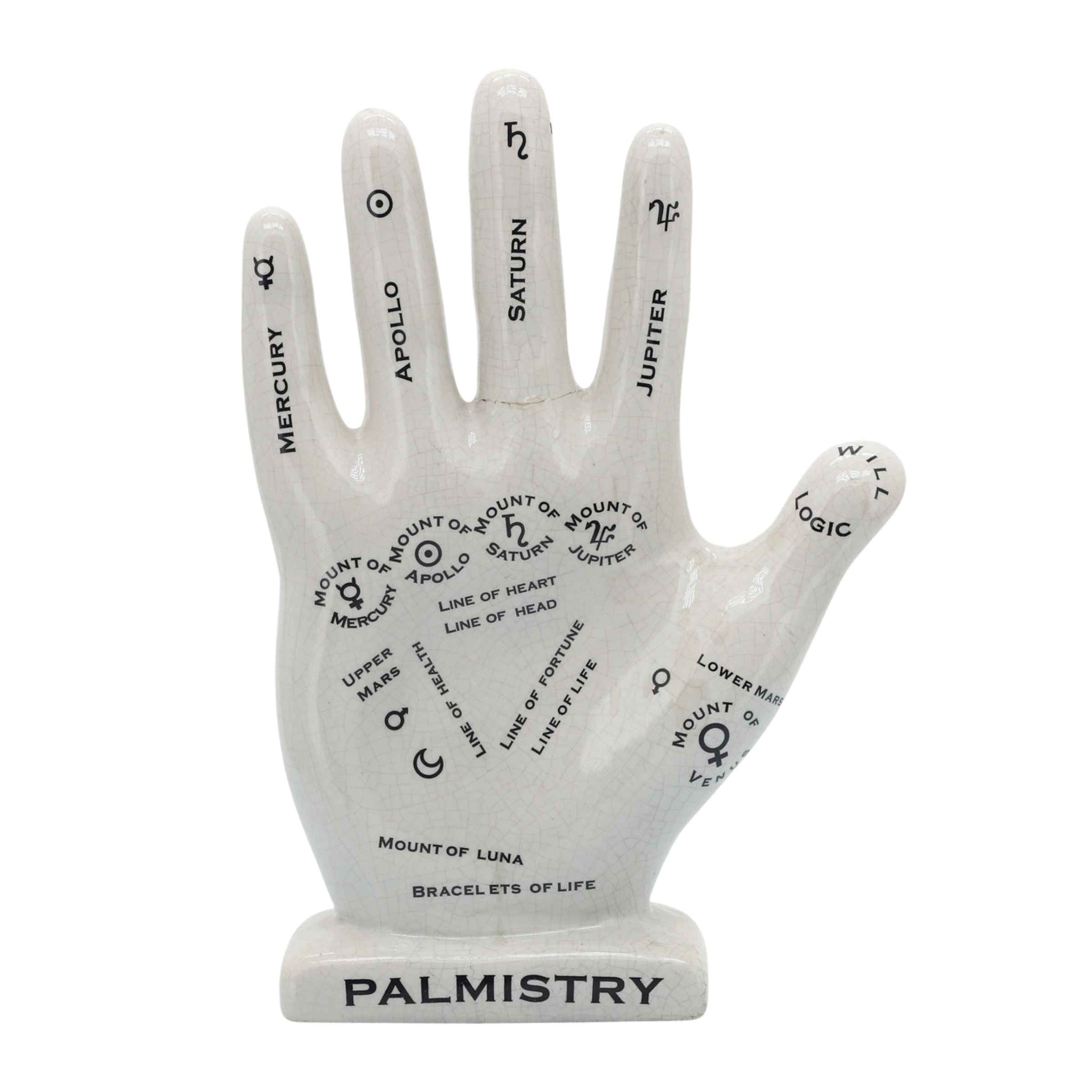 Palmistry Hand Porcelain Décor 30  Cm 16711-01 -  Home Decor Figurines | قراءة الكف ديكور بورسلين 30 سم - ebarza Furniture UAE | Shop Modern Furniture in Abu Dhabi & Dubai - مفروشات ايبازرا في الامارات | تسوق اثاث عصري وديكورات مميزة في دبي وابوظبي