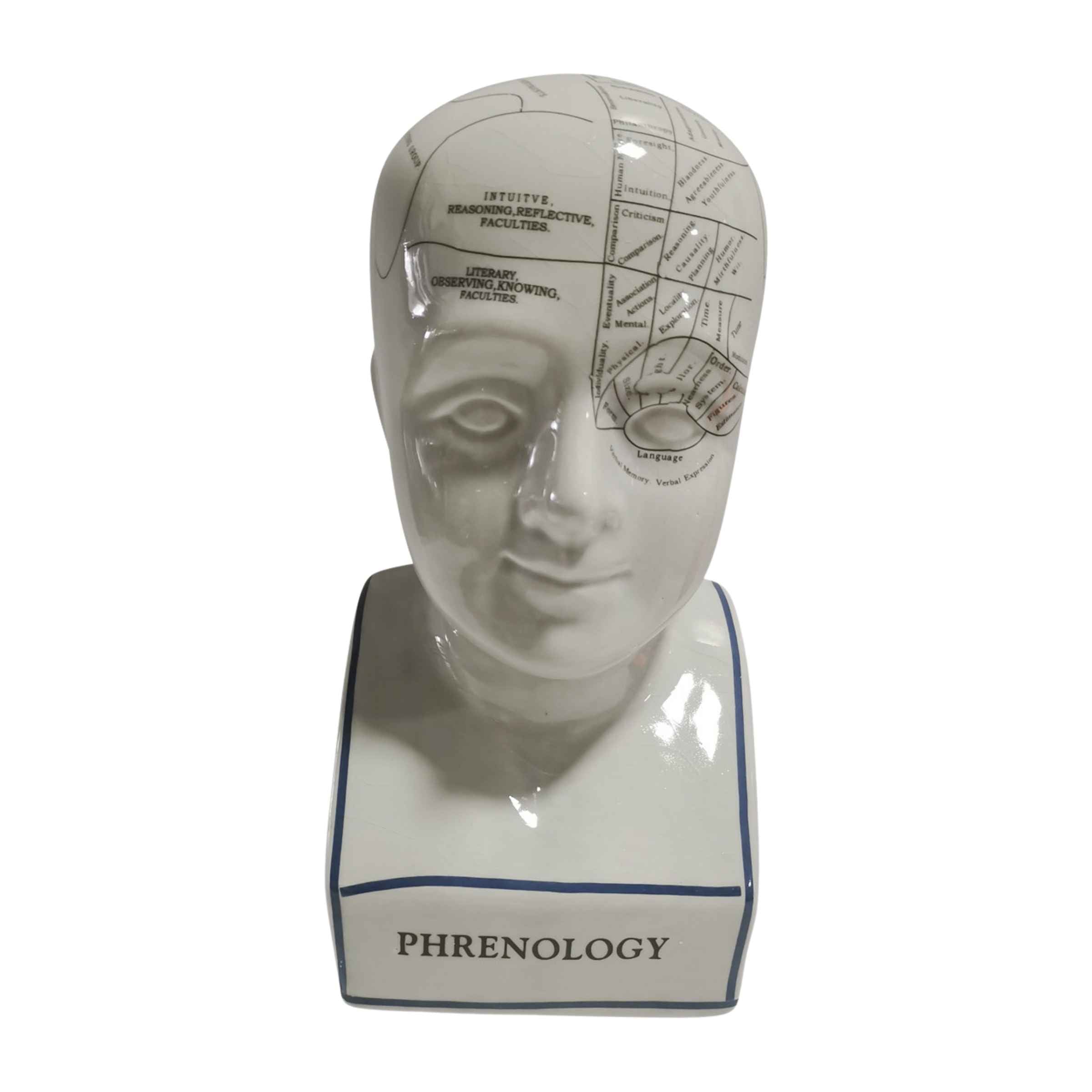 Phrenology Bust Porcelain Décor 30 Cm 16710-01 -  Home Decor Figurines | تمثال نصفي للفرينولوجي ديكور بورسلين 30 سم - ebarza Furniture UAE | Shop Modern Furniture in Abu Dhabi & Dubai - مفروشات ايبازرا في الامارات | تسوق اثاث عصري وديكورات مميزة في دبي وابوظبي