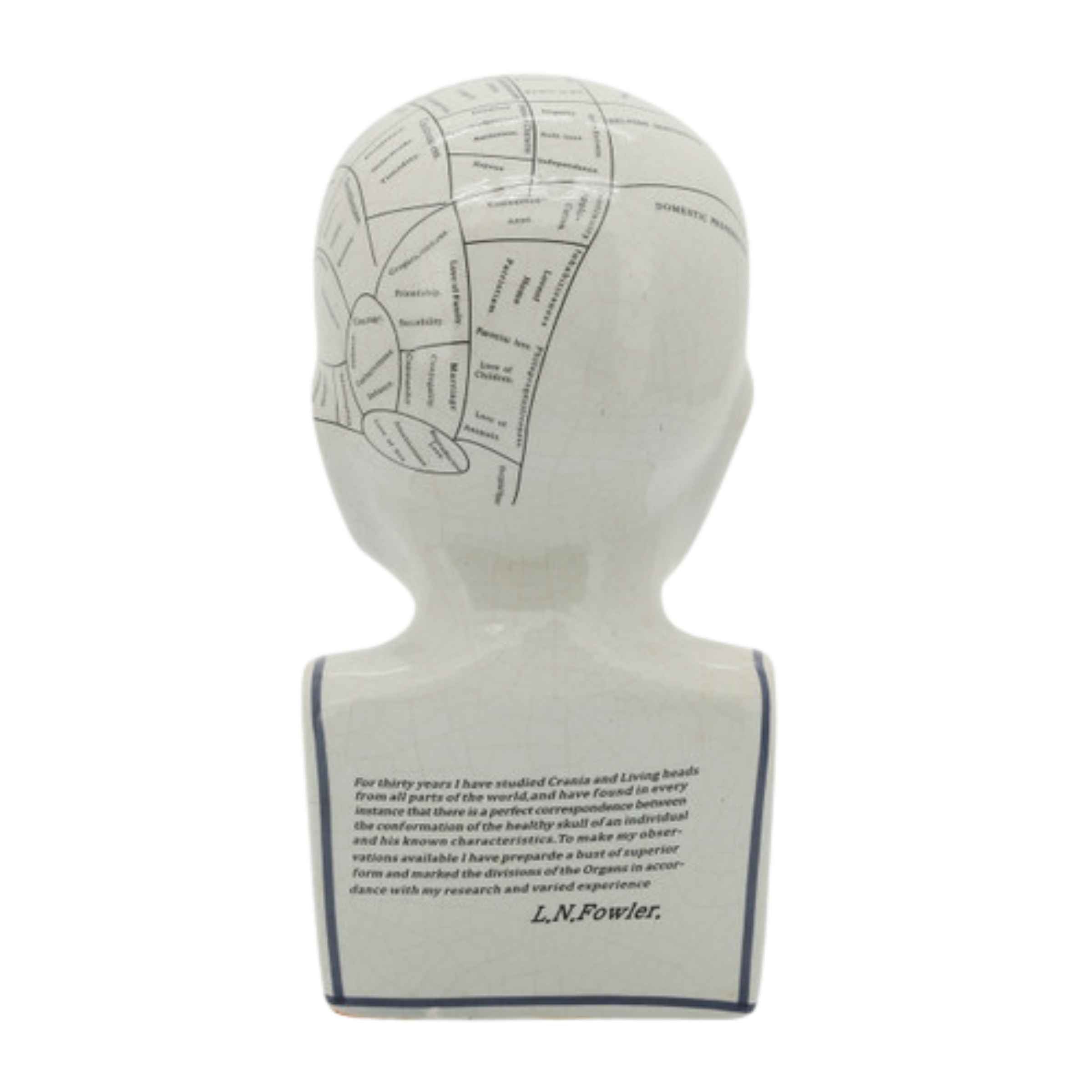 Phrenology Bust Porcelain Décor 30 Cm 16710-01 -  Home Decor Figurines | تمثال نصفي للفرينولوجي ديكور بورسلين 30 سم - ebarza Furniture UAE | Shop Modern Furniture in Abu Dhabi & Dubai - مفروشات ايبازرا في الامارات | تسوق اثاث عصري وديكورات مميزة في دبي وابوظبي