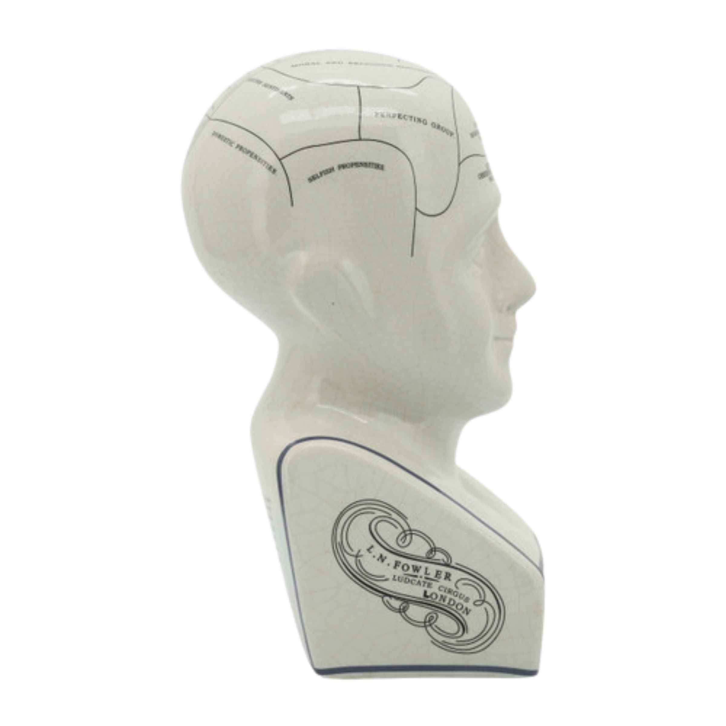 Phrenology Bust Porcelain Décor 30 Cm 16710-01 -  Home Decor Figurines | تمثال نصفي للفرينولوجي ديكور بورسلين 30 سم - ebarza Furniture UAE | Shop Modern Furniture in Abu Dhabi & Dubai - مفروشات ايبازرا في الامارات | تسوق اثاث عصري وديكورات مميزة في دبي وابوظبي